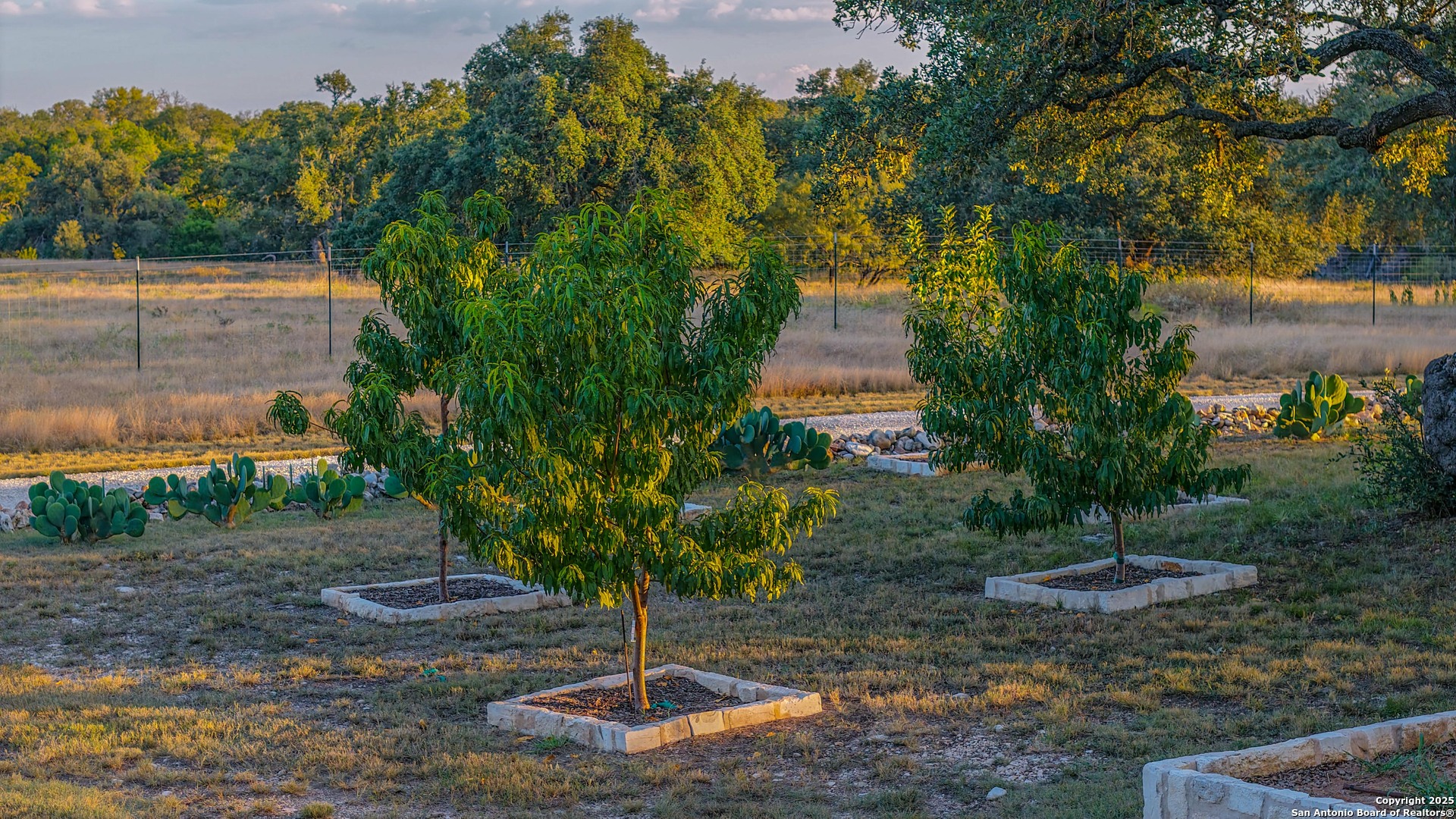 21789 Fm 2093 Harper TX 78631