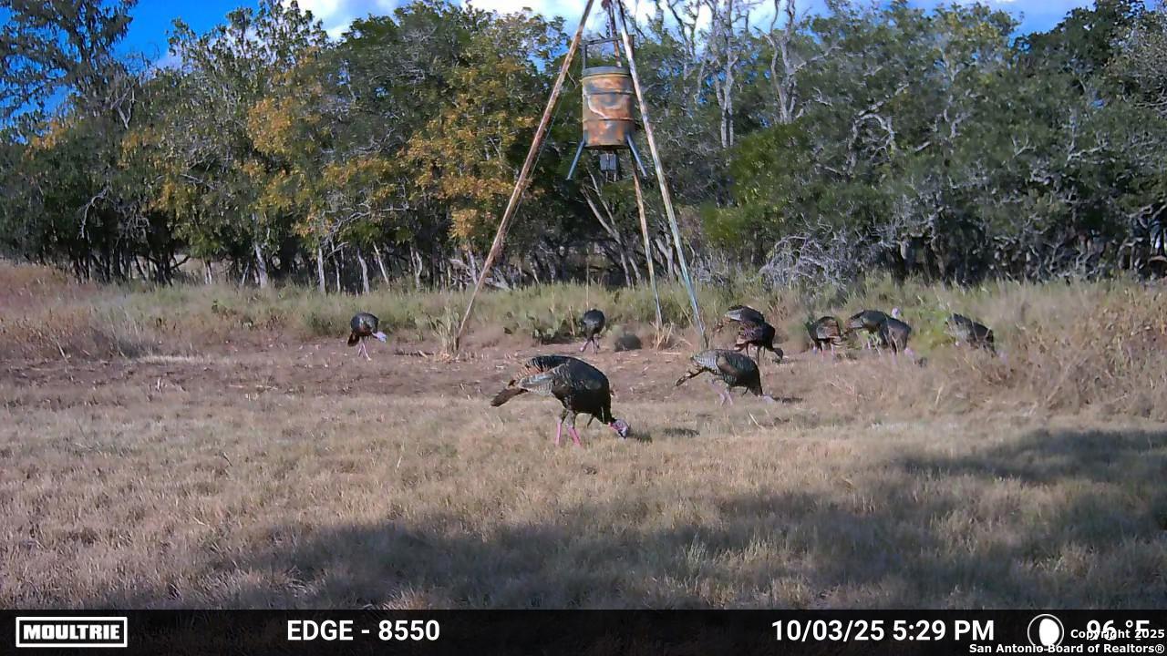 21789 Fm 2093 Harper TX 78631