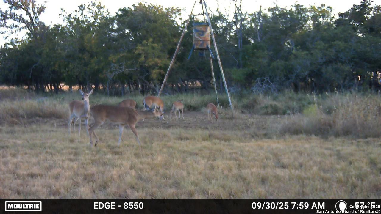 21789 Fm 2093 Harper TX 78631
