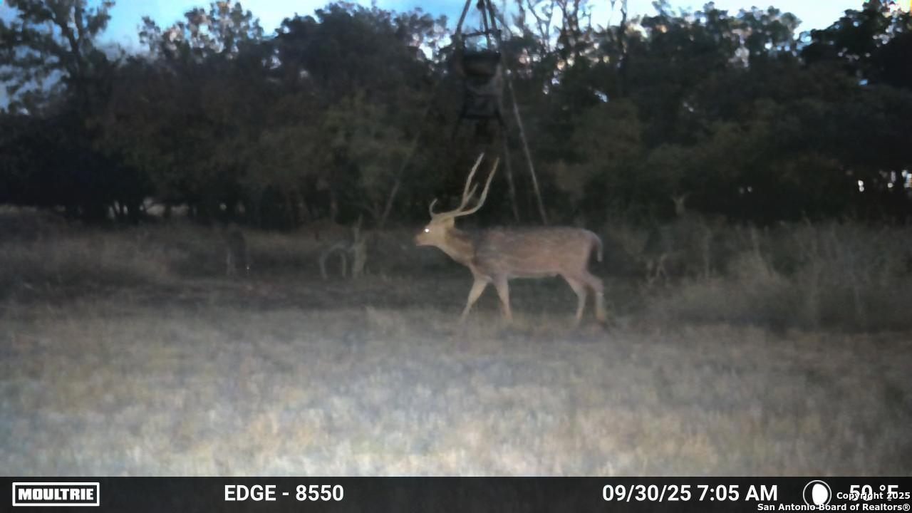 21789 Fm 2093 Harper TX 78631