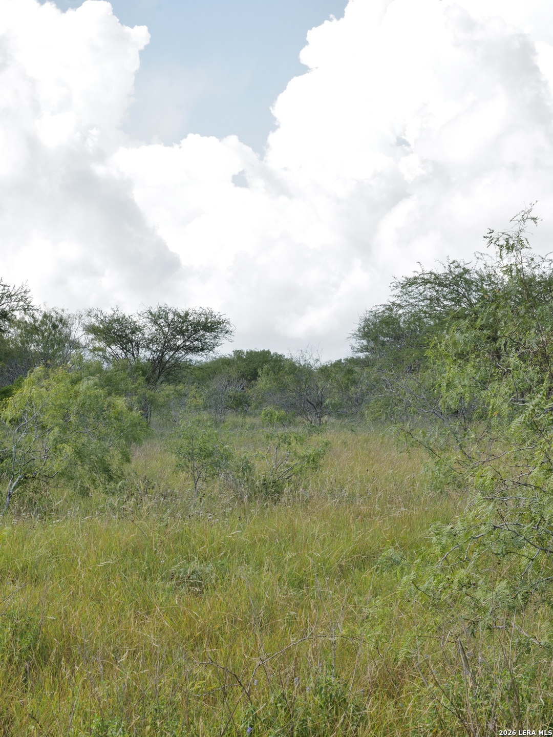 Tbd Lot 3 Cr 207 Hobson TX 78117
