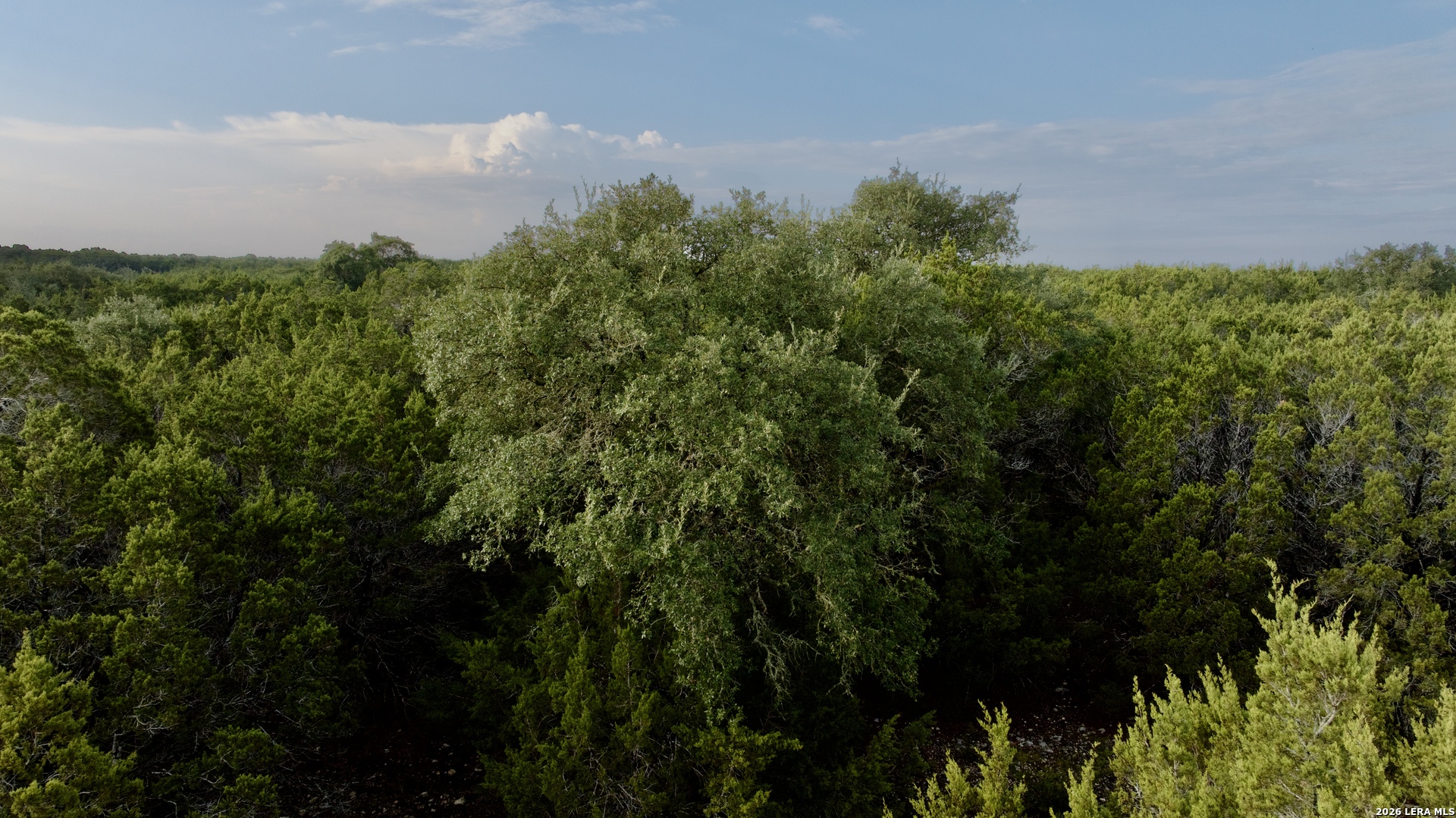 0000 County Road 330 Burnet TX 78611