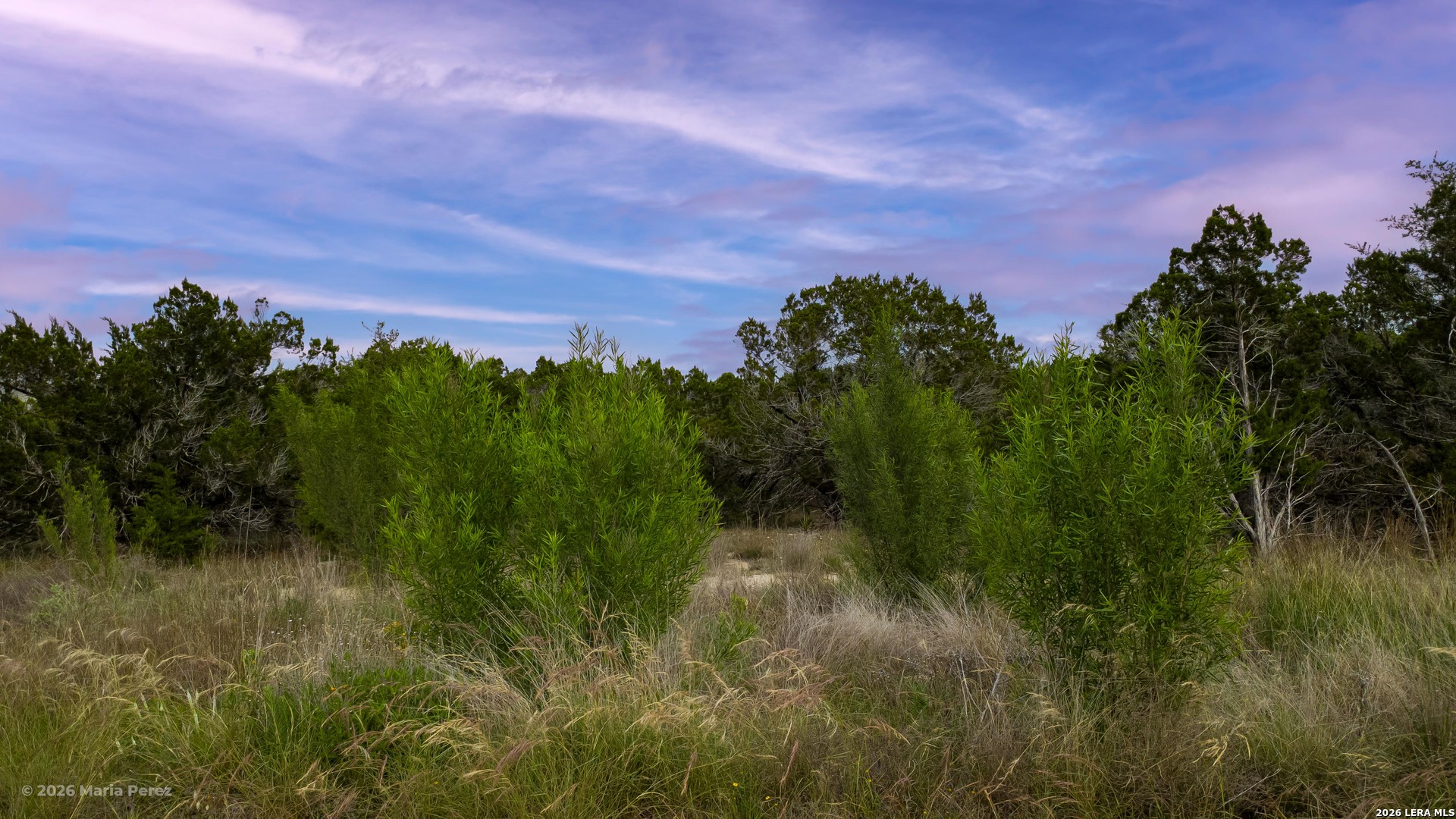 1609 Paradise Parkway Canyon Lake TX 78133