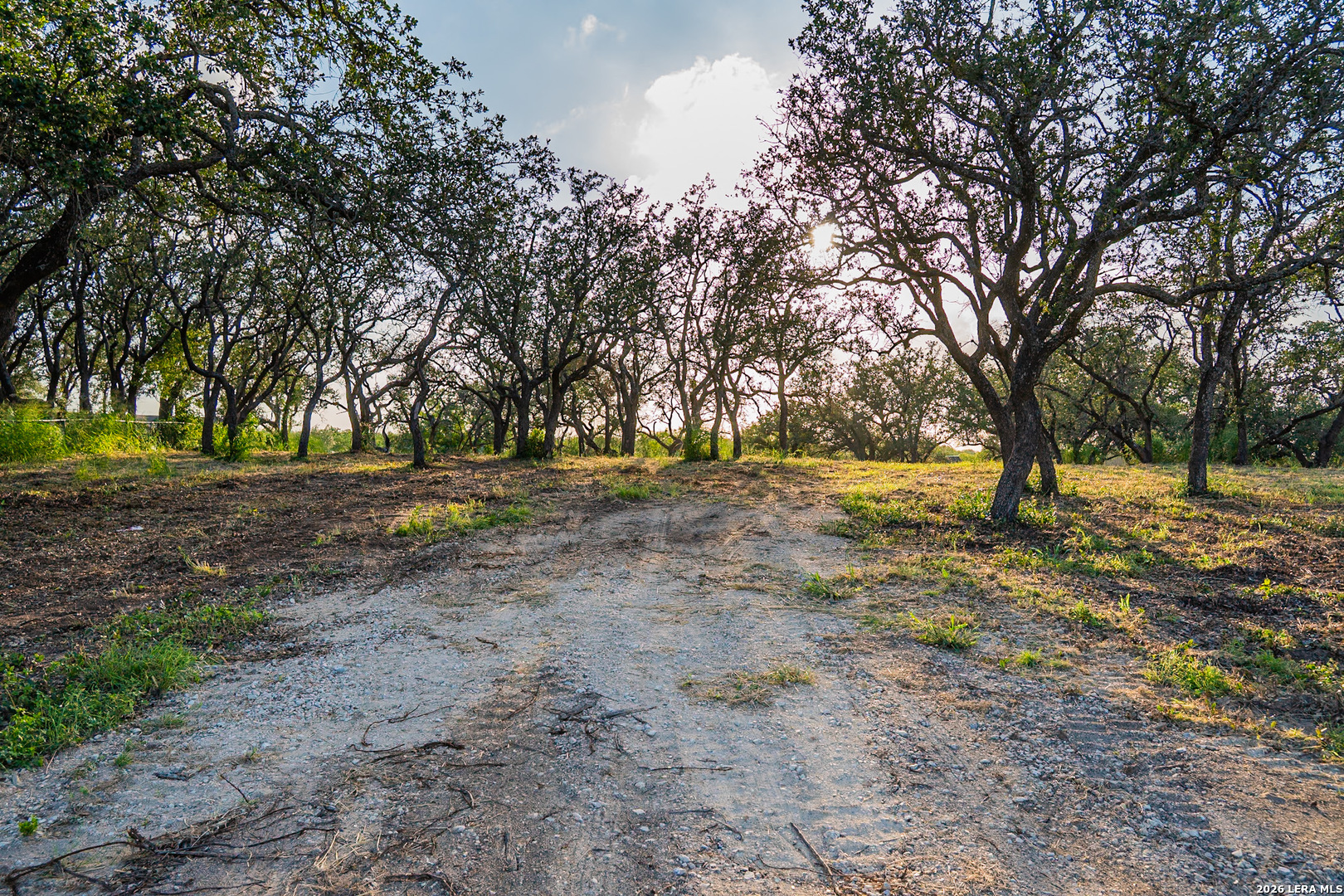 13117 N Highway 16 Poteet TX 78065