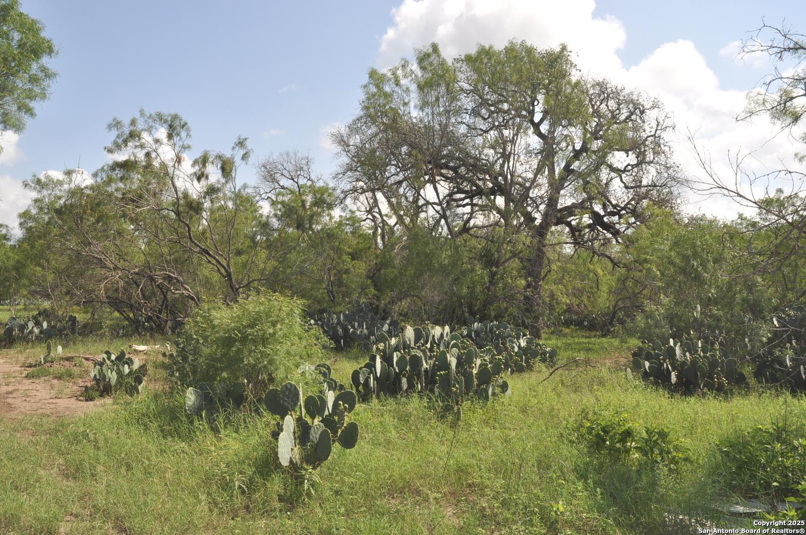 Tbd Cr 662 Devine TX 78016