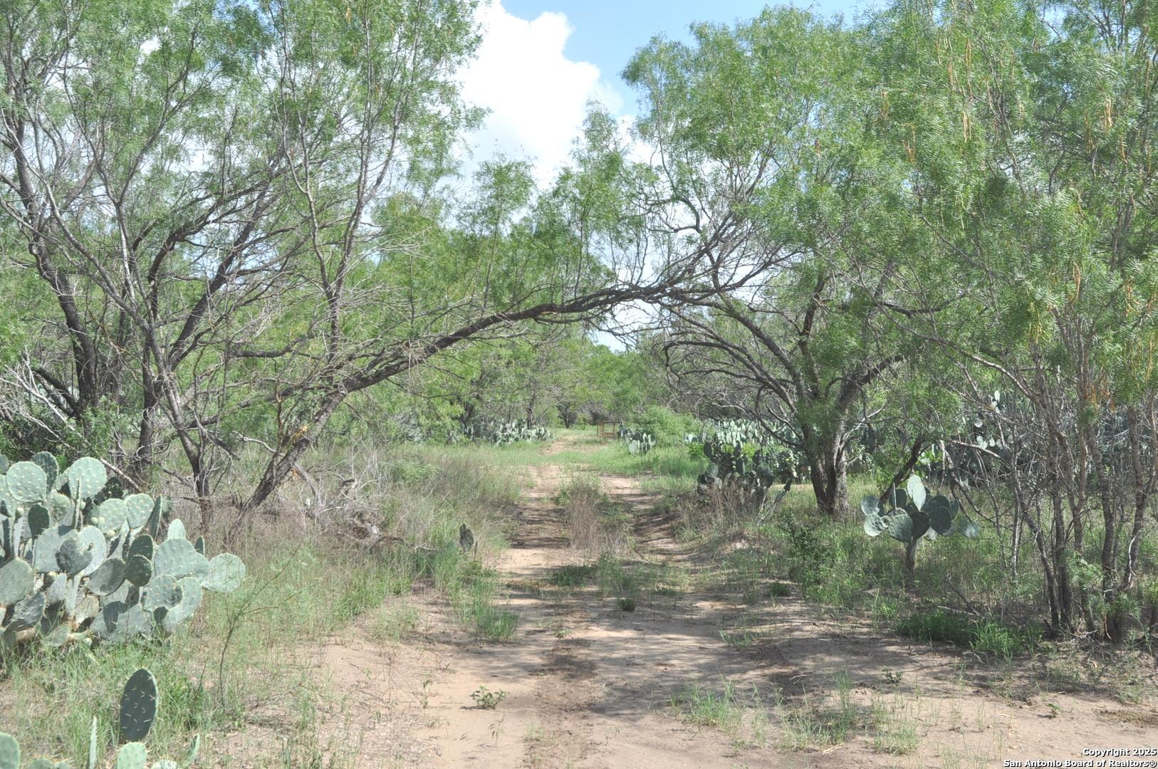Tbd Cr 662 Devine TX 78016