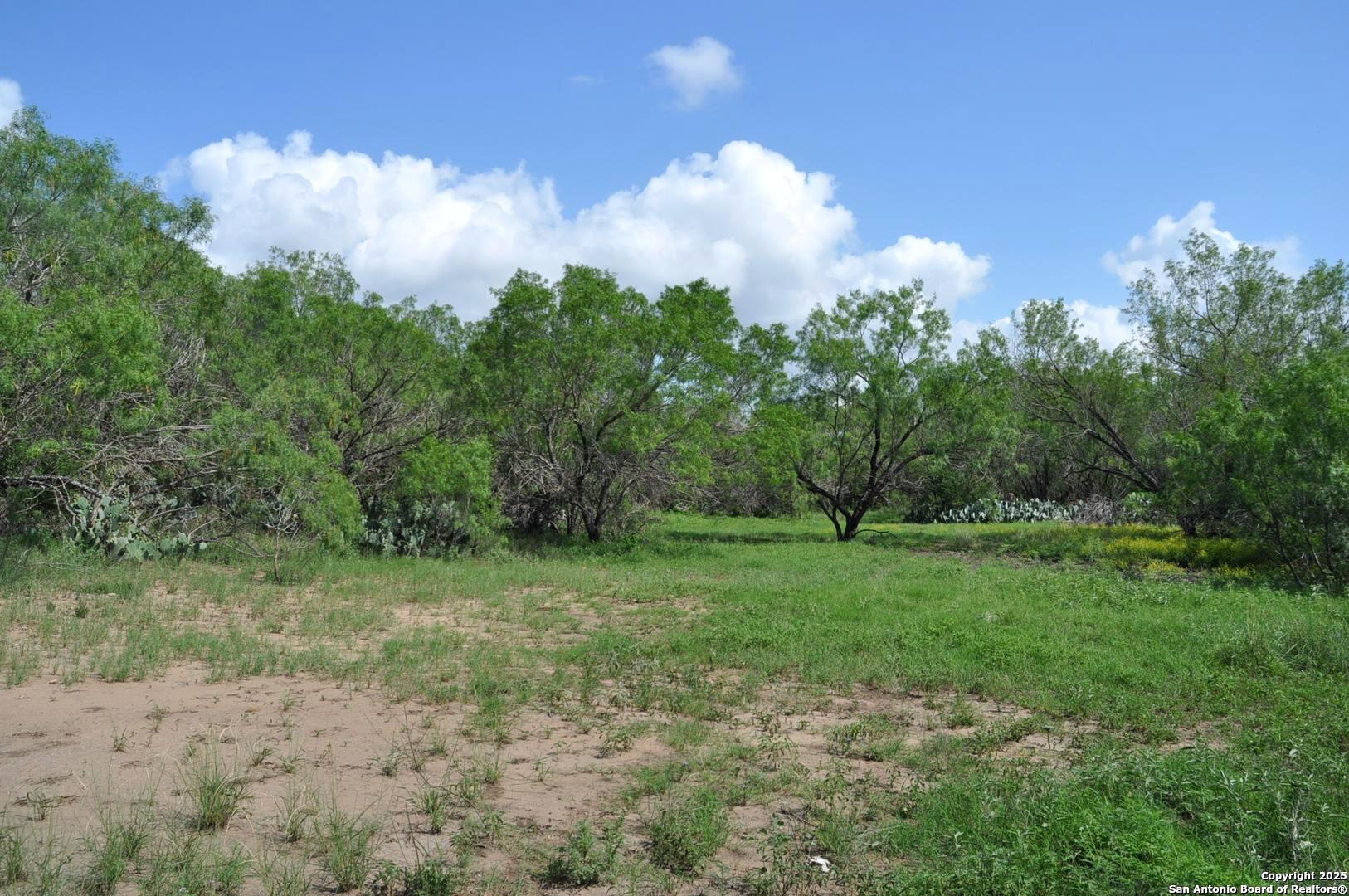 Tbd Cr 662 Devine TX 78016