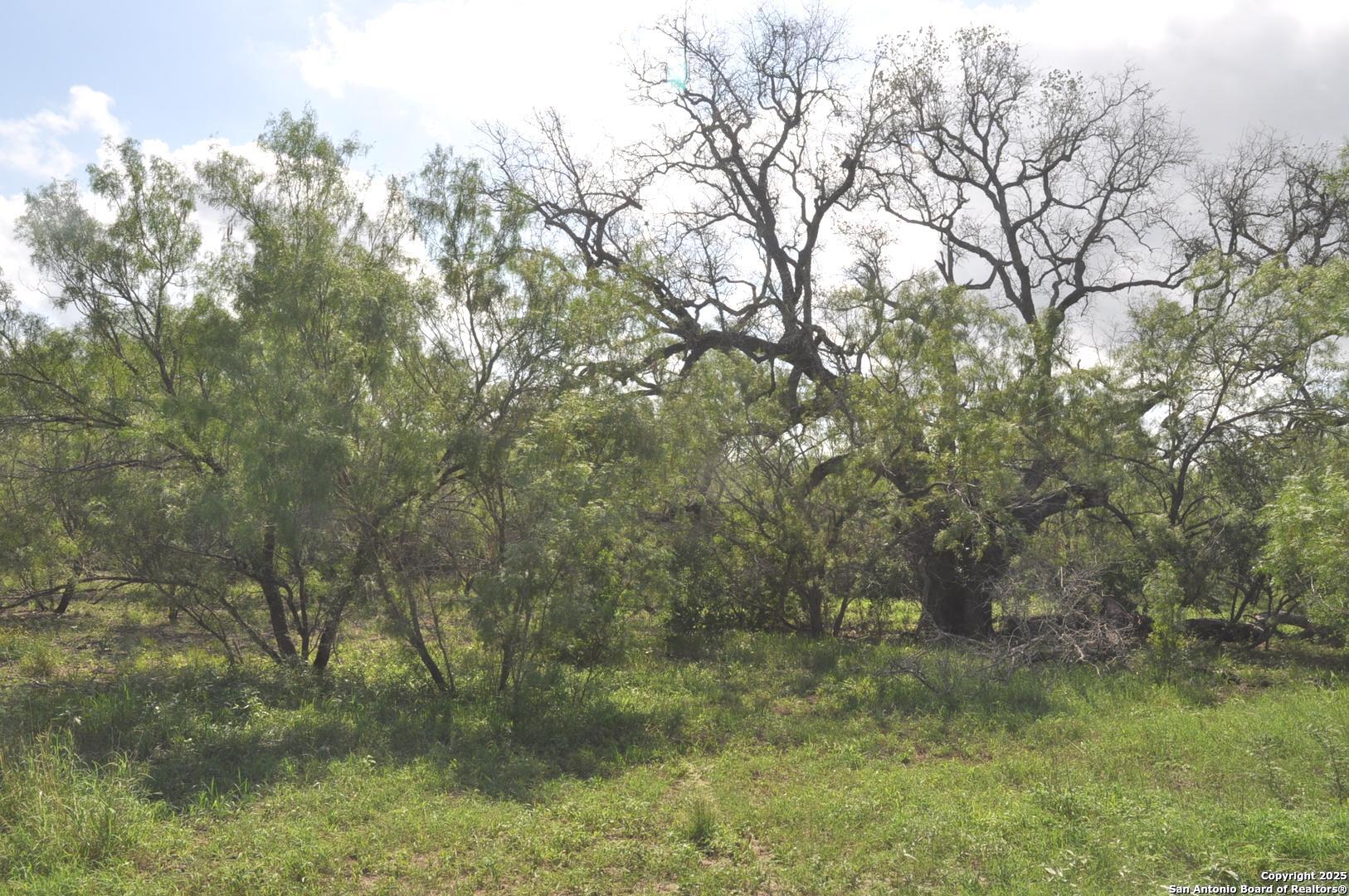 Tbd Cr 662 Devine TX 78016