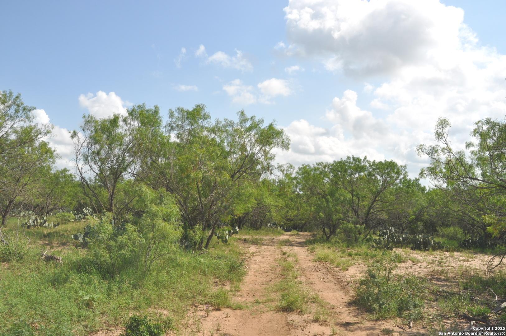 Tbd Cr 662 Devine TX 78016