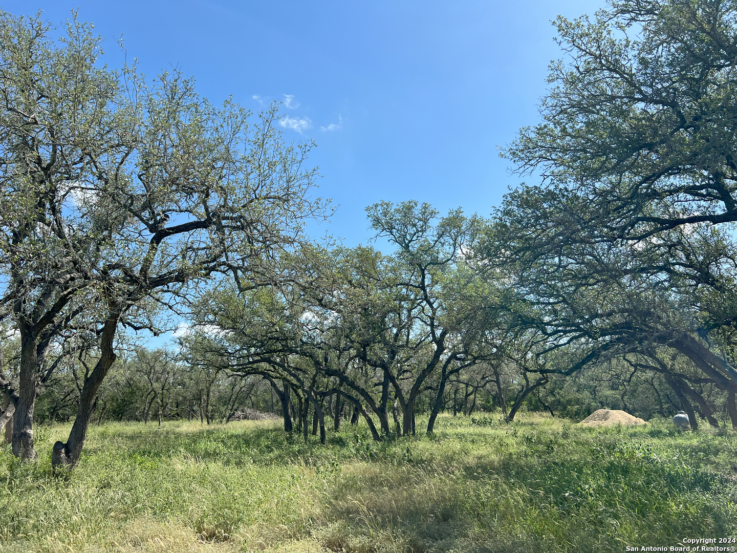 424 Pr 324 Dhanis TX 78850