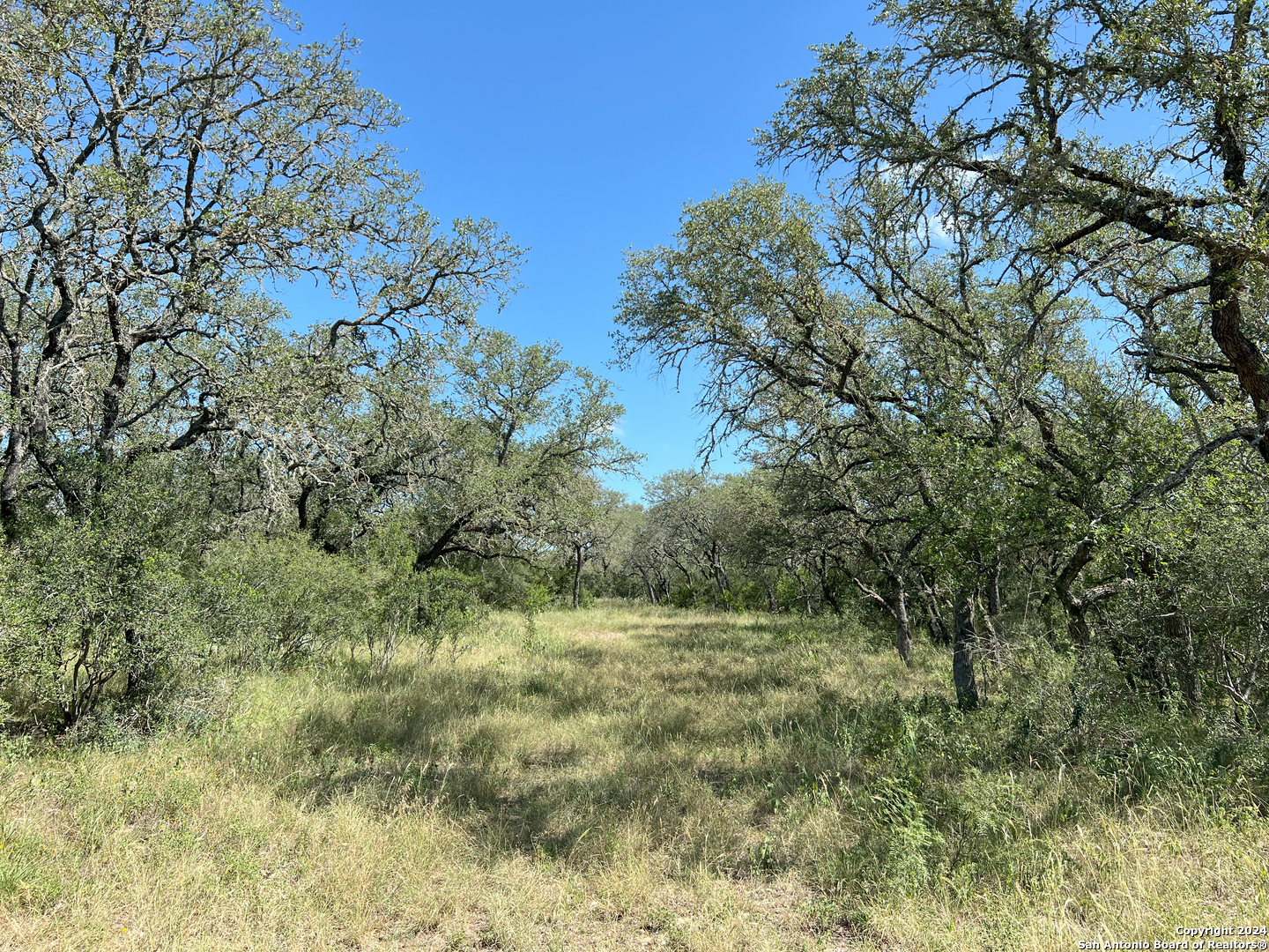 424 Pr 324 Dhanis TX 78850