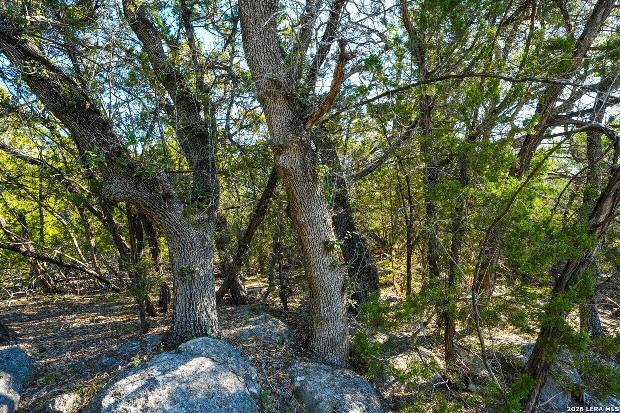1515 Old Boerne Road Bulverde TX 78163