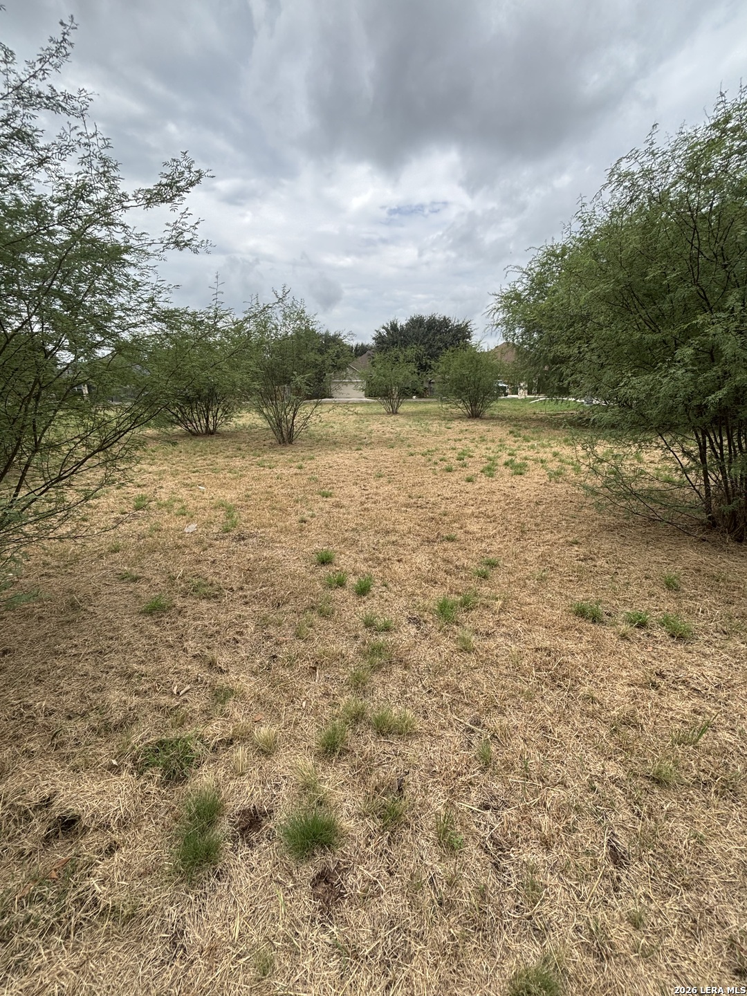 15516 Fox Lane Selma TX 78154
