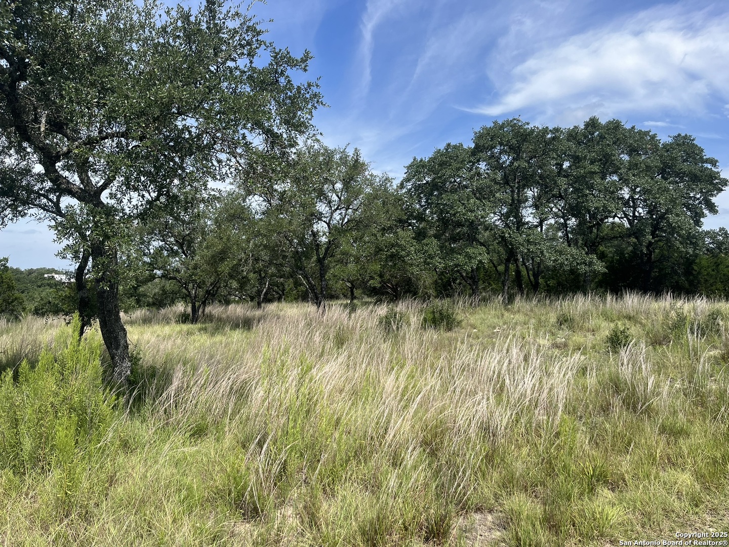 137 Hill Myna Spring Branch TX 78070