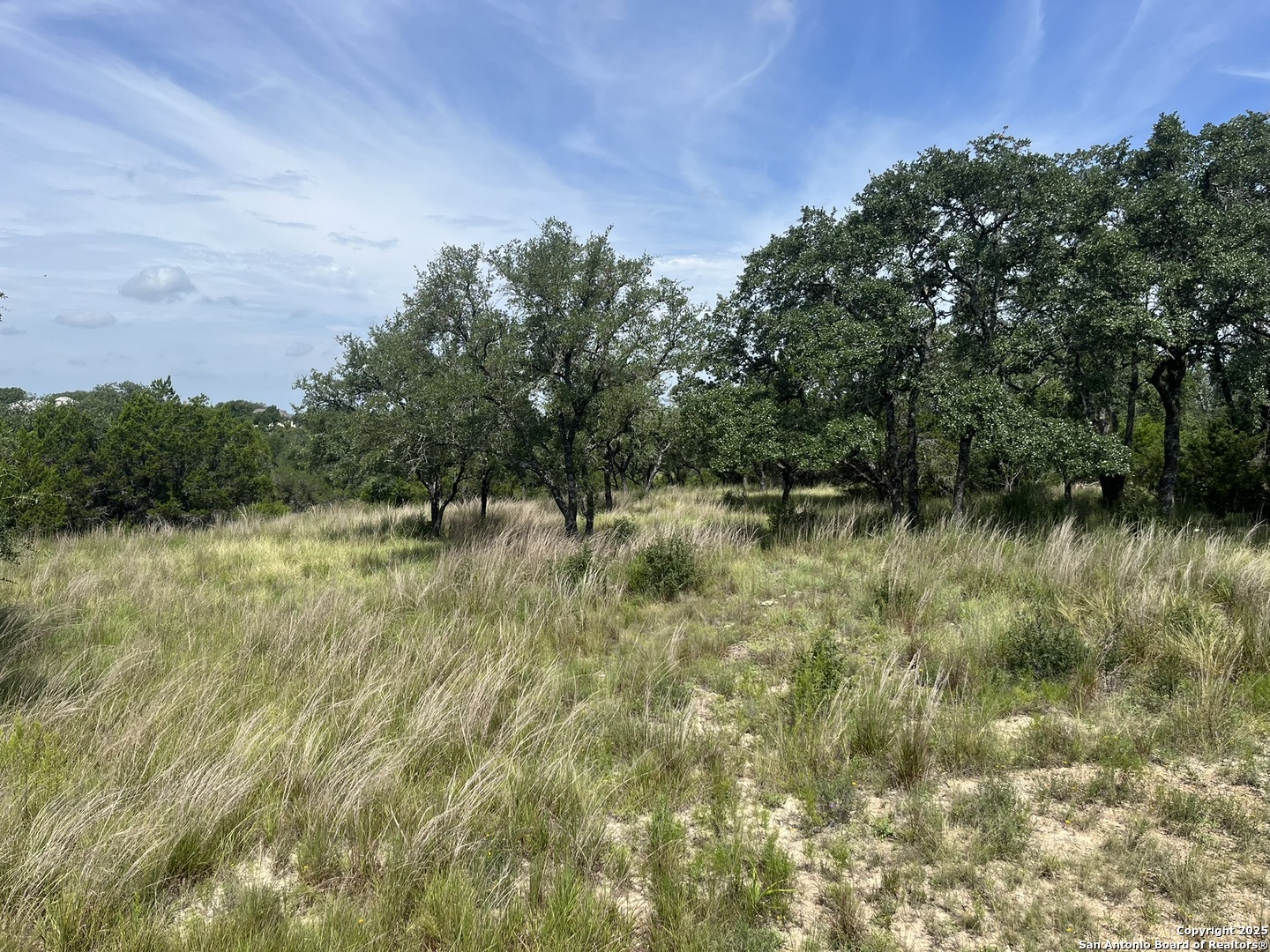 137 Hill Myna Spring Branch TX 78070
