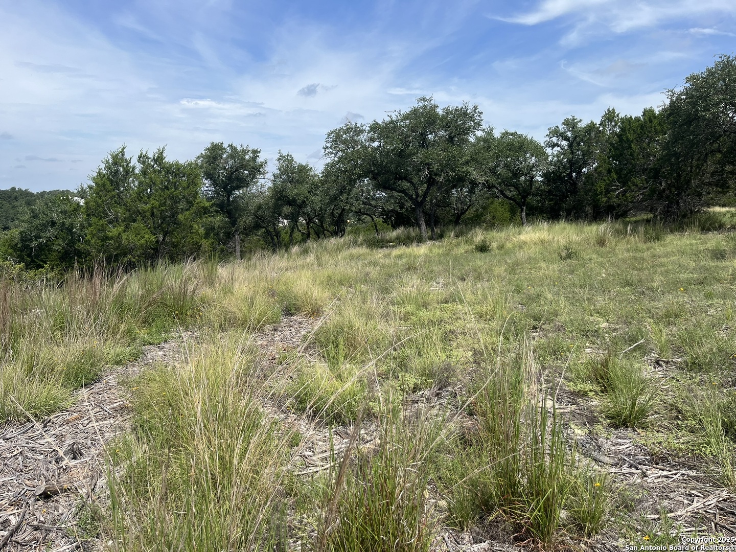 137 Hill Myna Spring Branch TX 78070