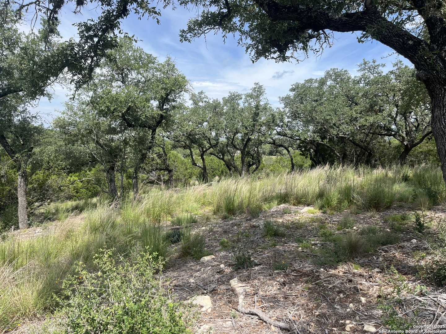 137 Hill Myna Spring Branch TX 78070