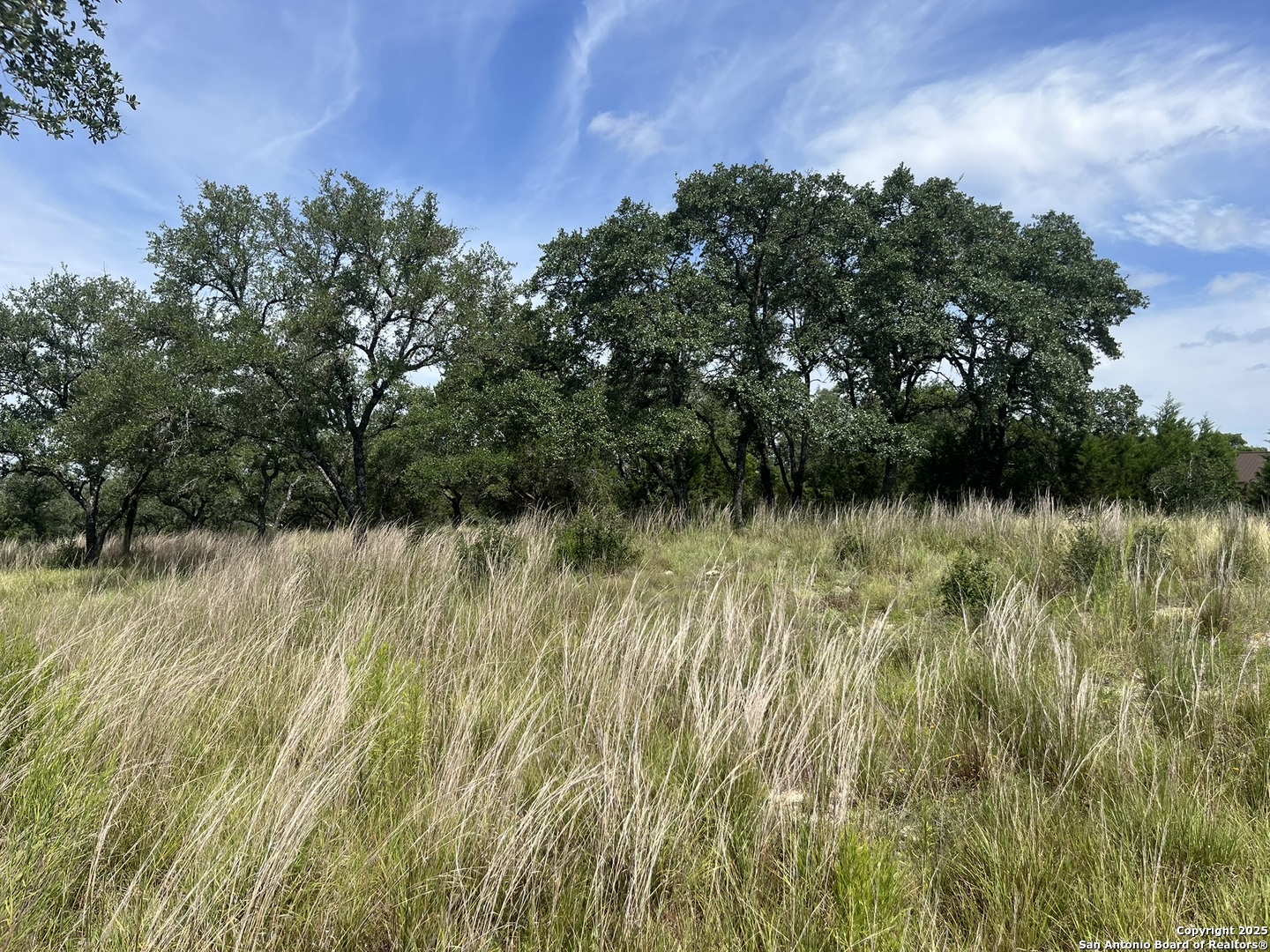 137 Hill Myna Spring Branch TX 78070