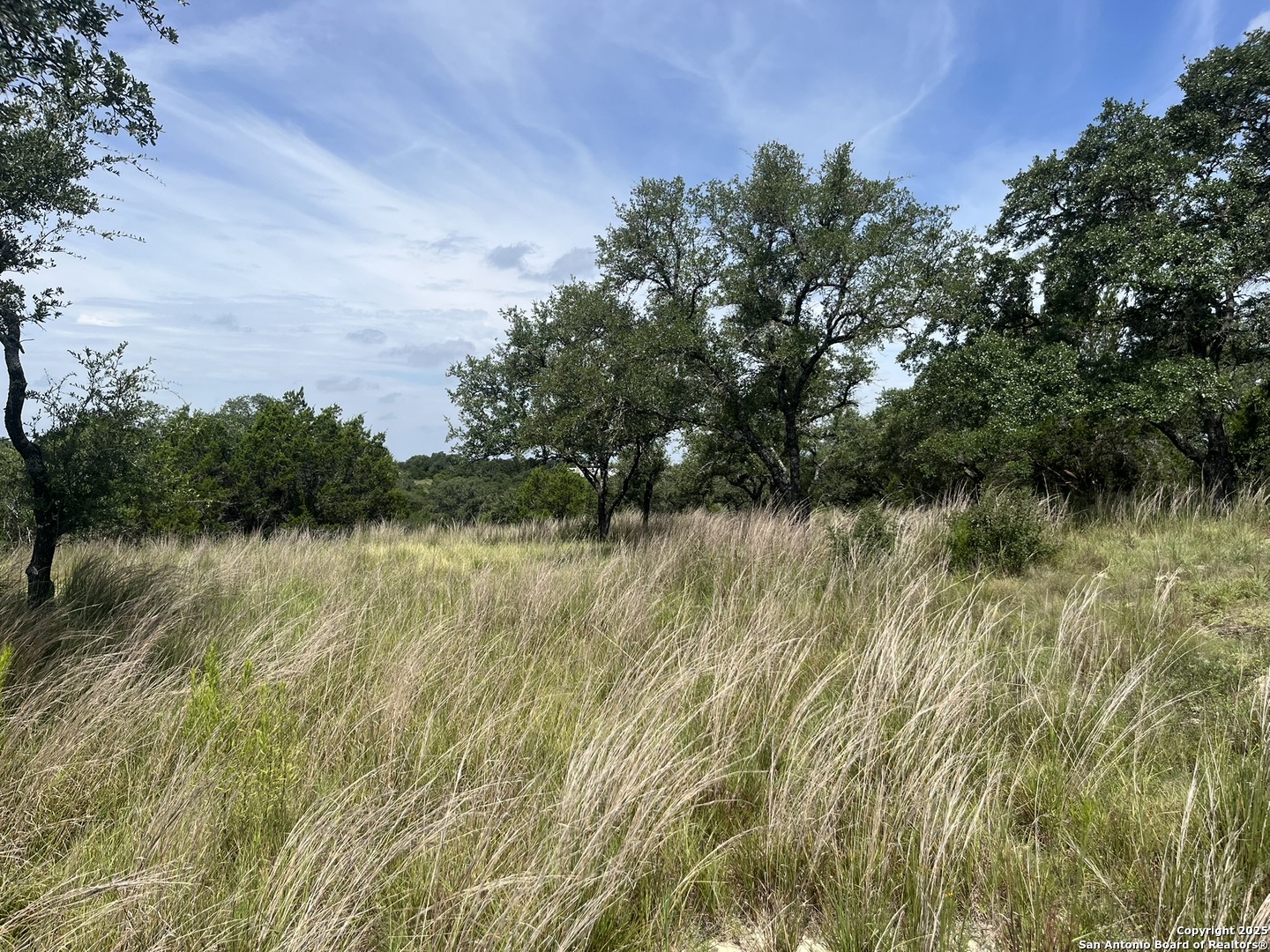 137 Hill Myna Spring Branch TX 78070