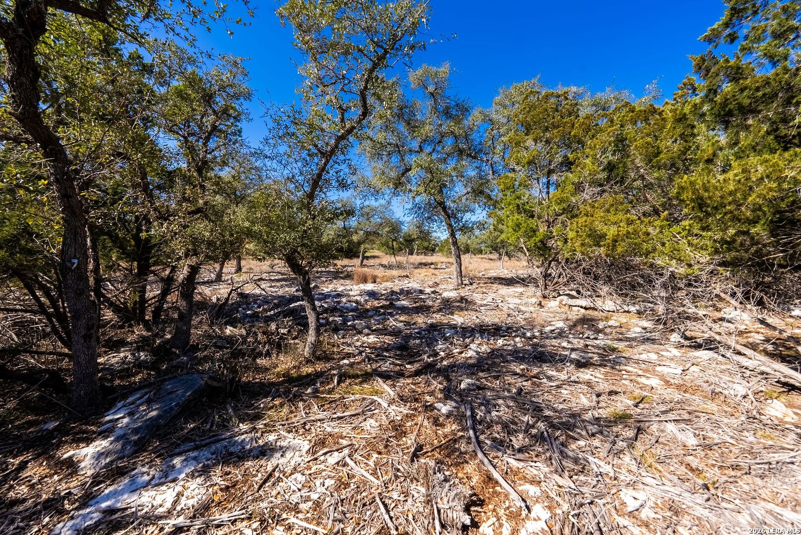 27719 Sunny Point Lot 209 San Antonio TX 78266