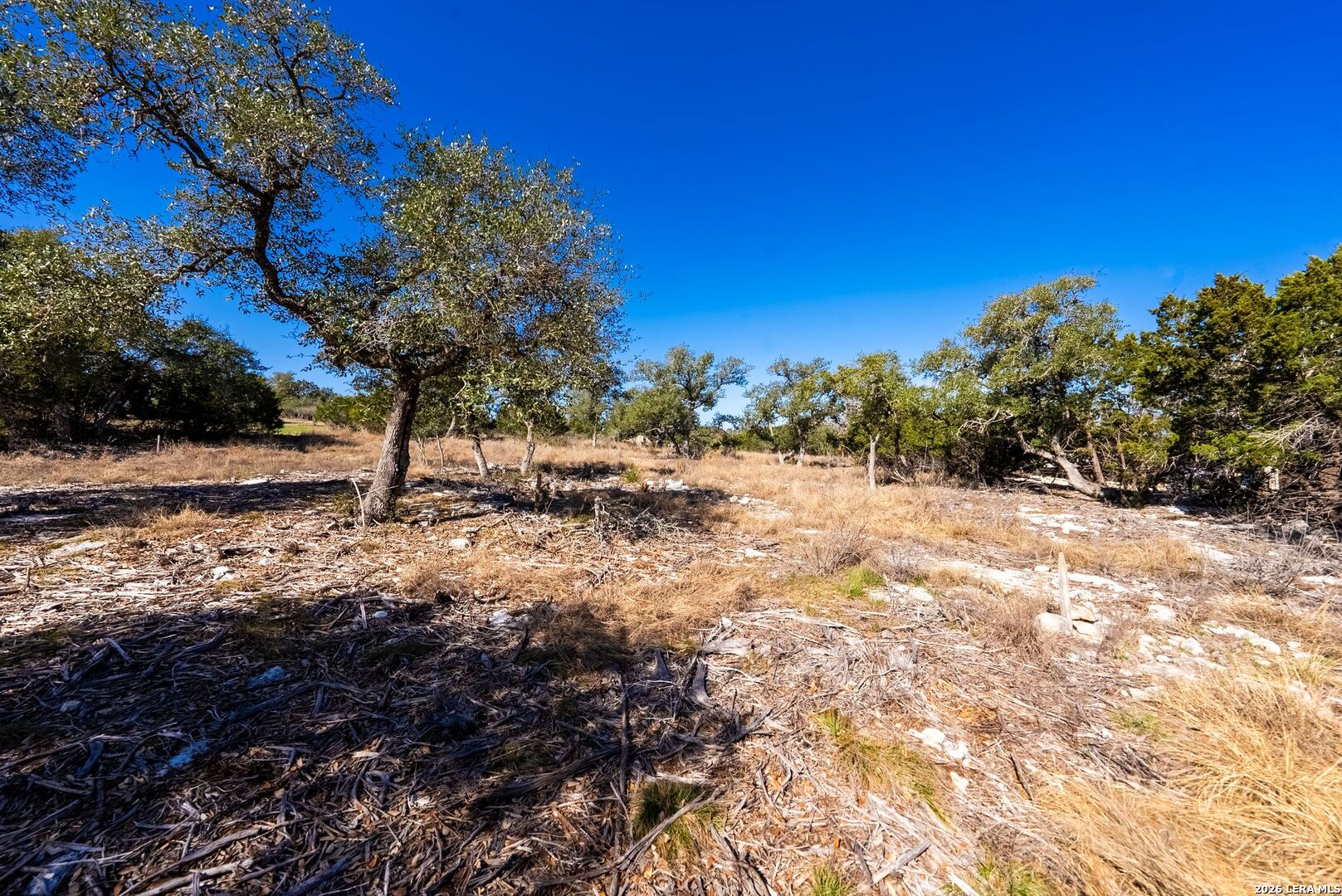 27719 Sunny Point Lot 209 San Antonio TX 78266