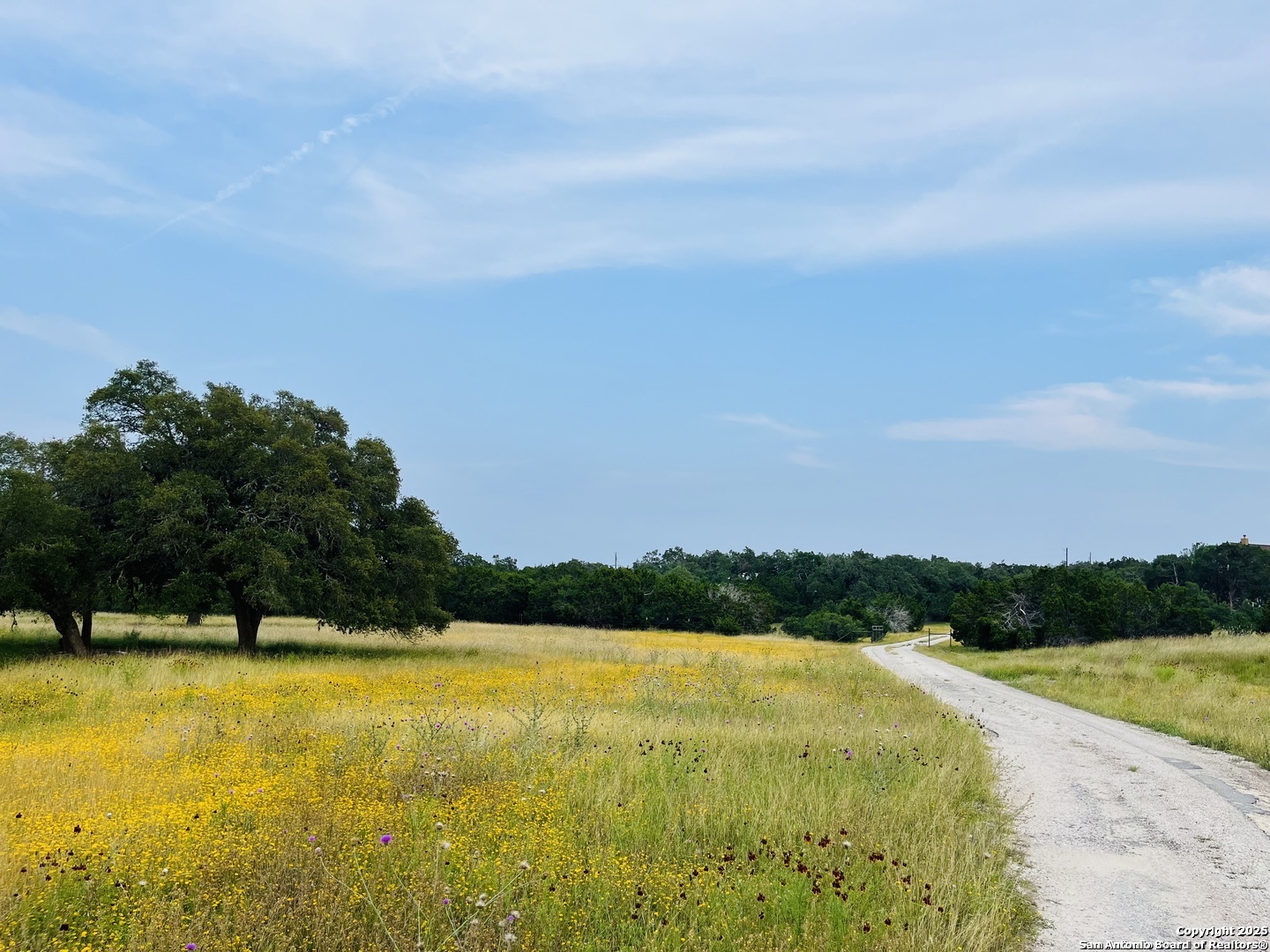 1822 Shepherds Ranch Bulverde TX 78163