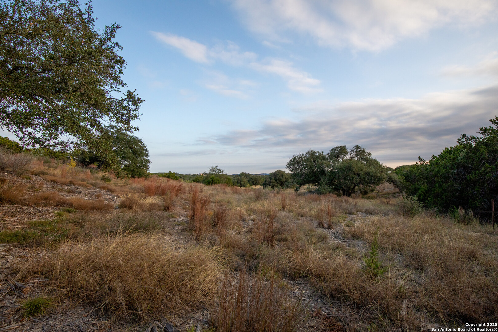 1822 Shepherds Ranch Bulverde TX 78163