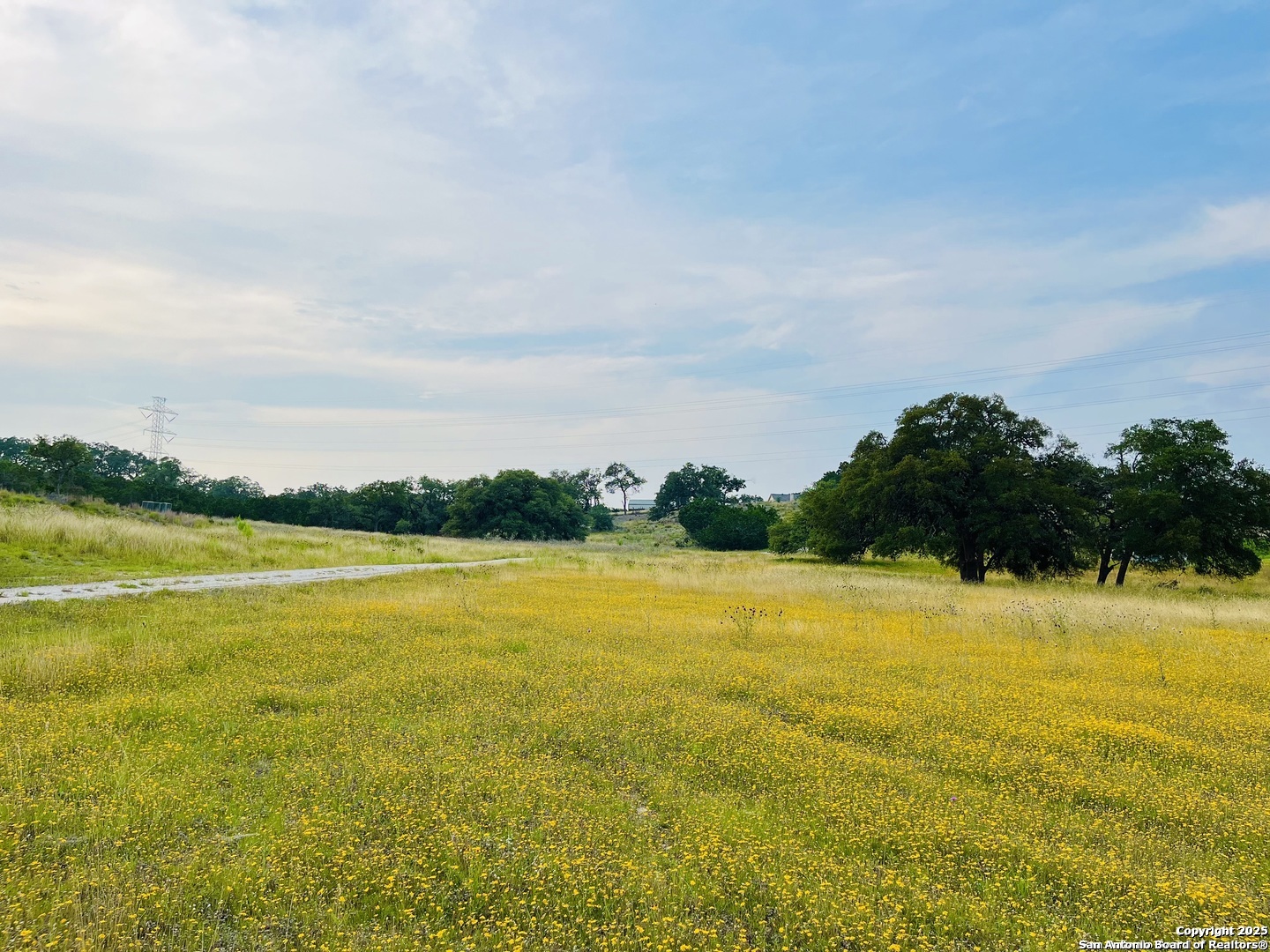 1822 Shepherds Ranch Bulverde TX 78163