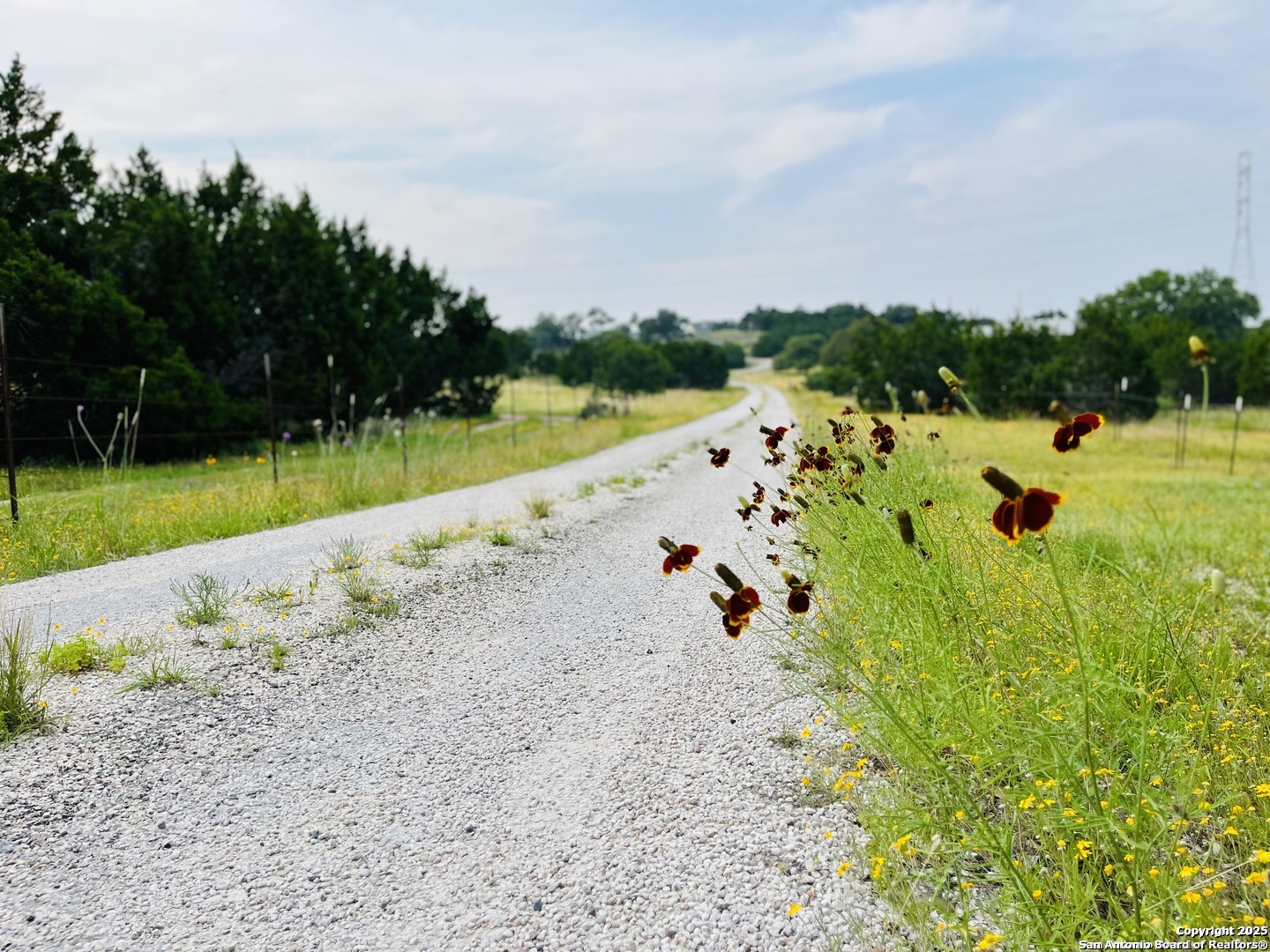 1822 Shepherds Ranch Bulverde TX 78163