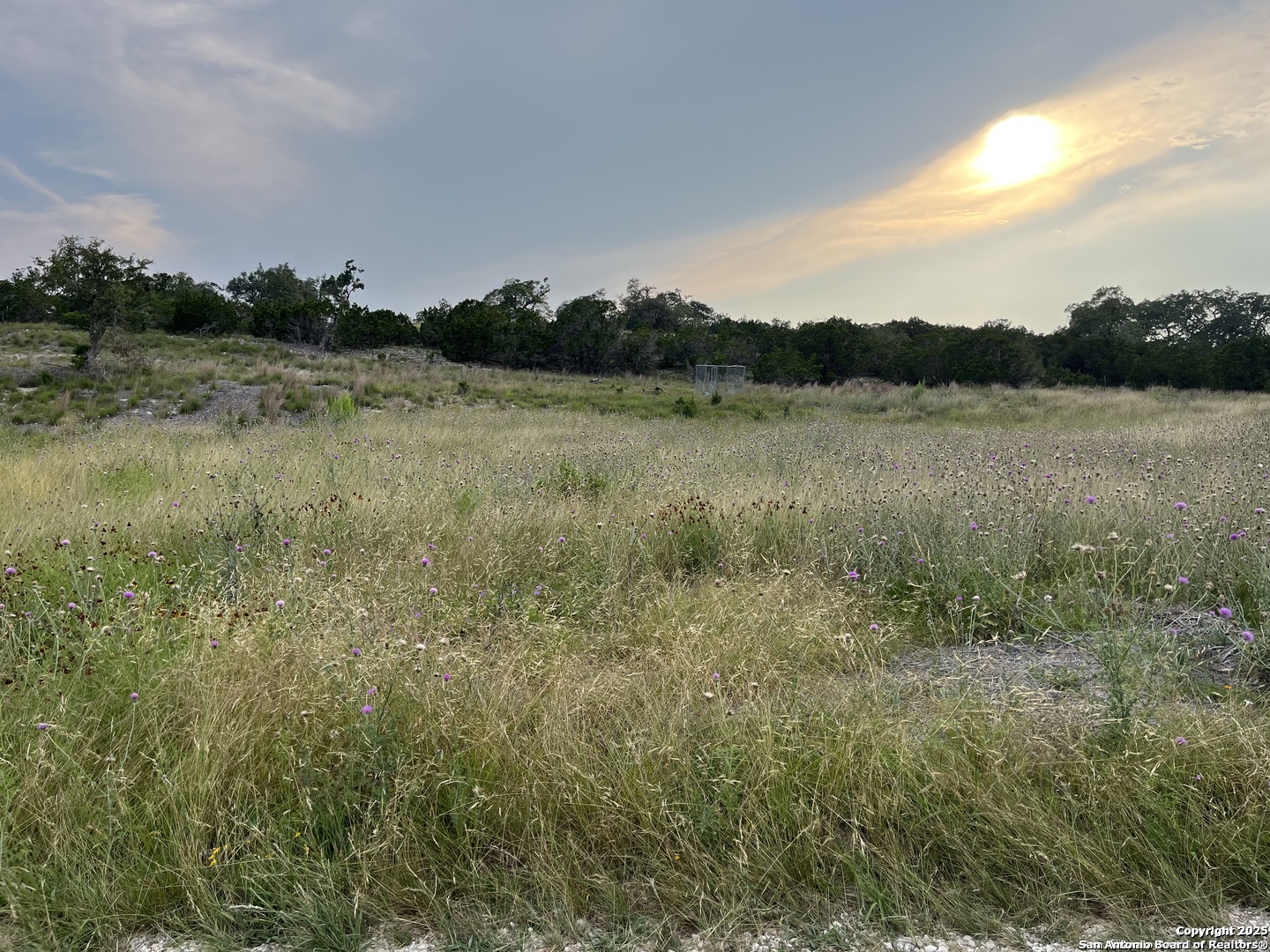 1822 Shepherds Ranch Bulverde TX 78163