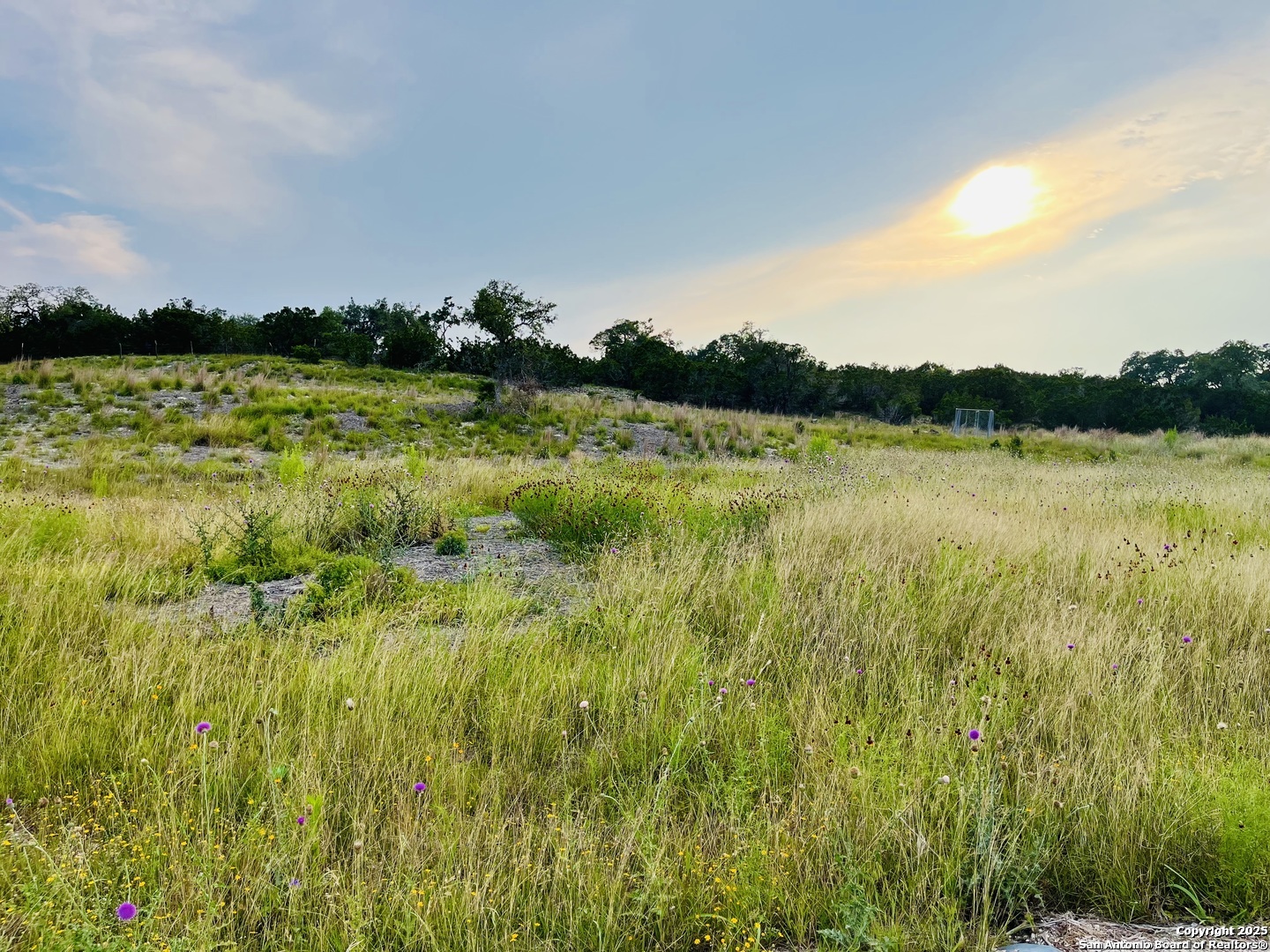 1822 Shepherds Ranch Bulverde TX 78163