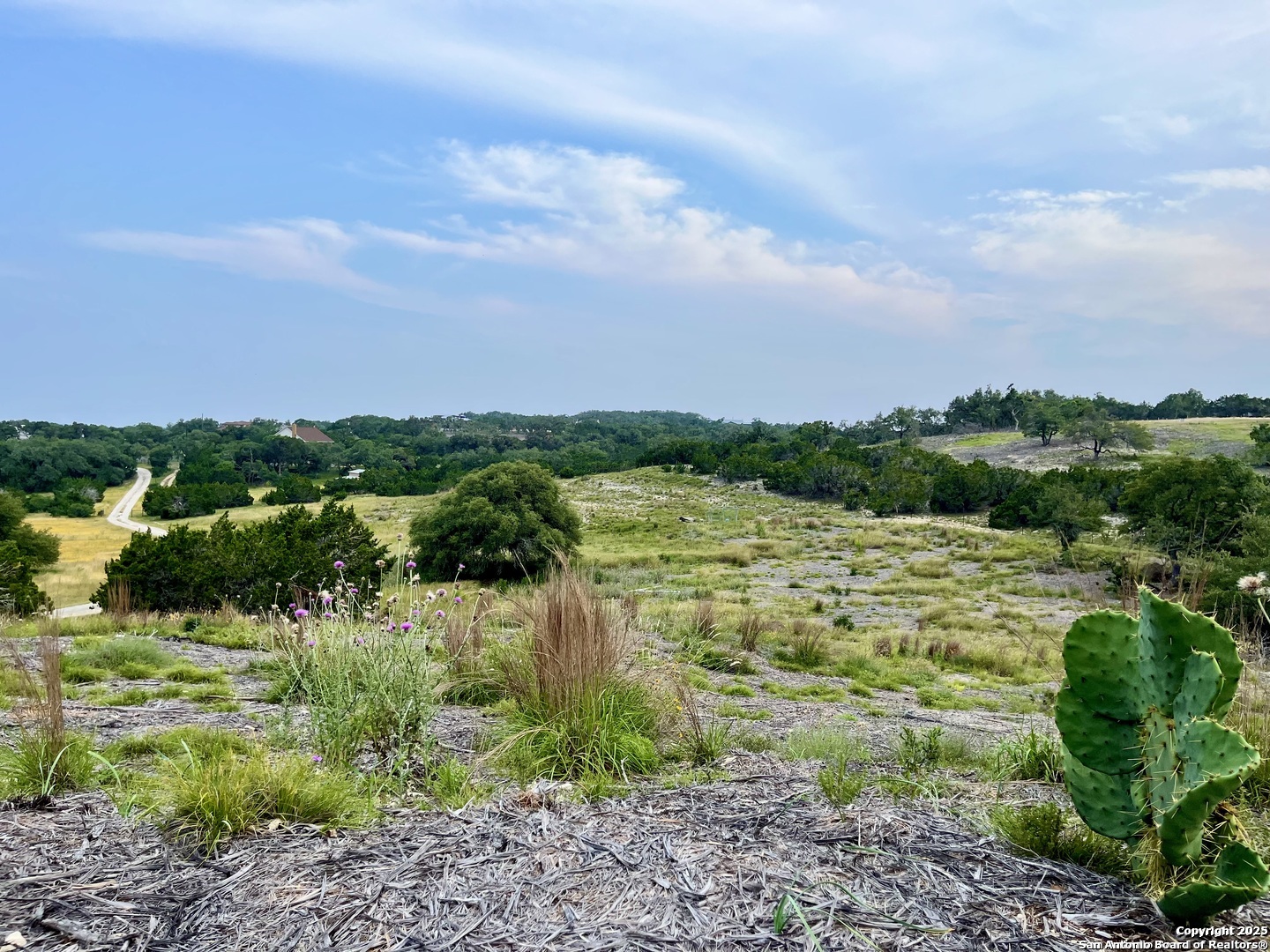 1822 Shepherds Ranch Bulverde TX 78163