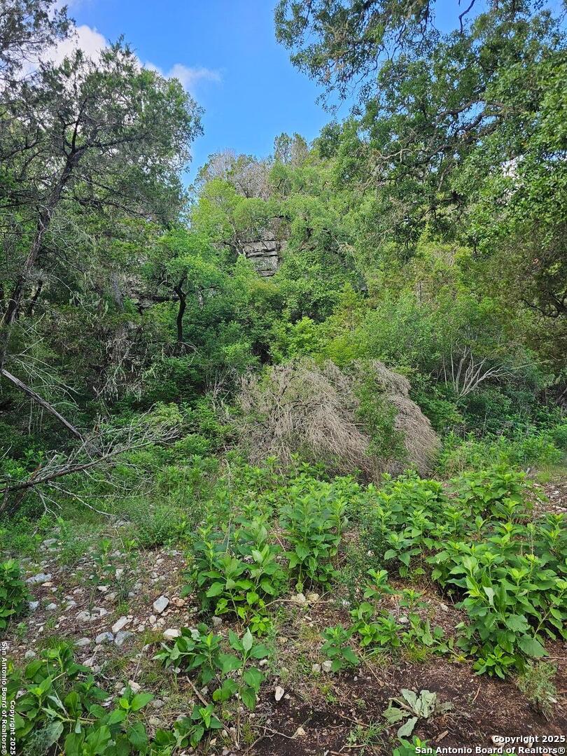 0 Happy Hollow New Braunfels TX 78132