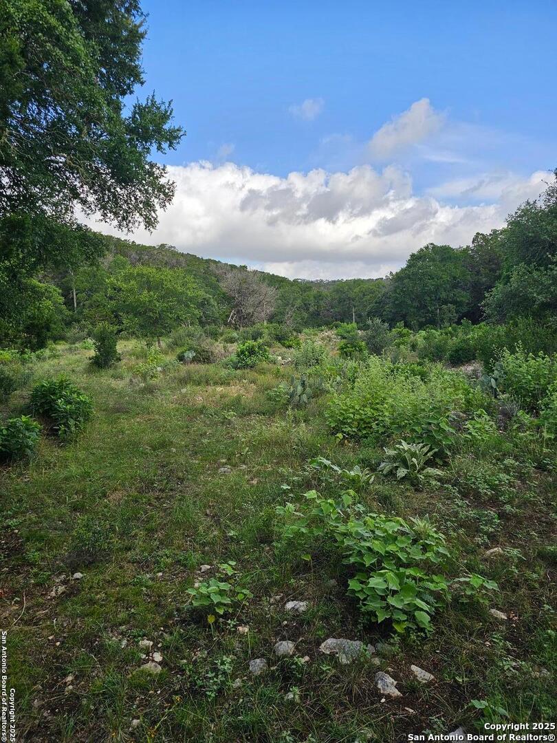 0 Happy Hollow New Braunfels TX 78132