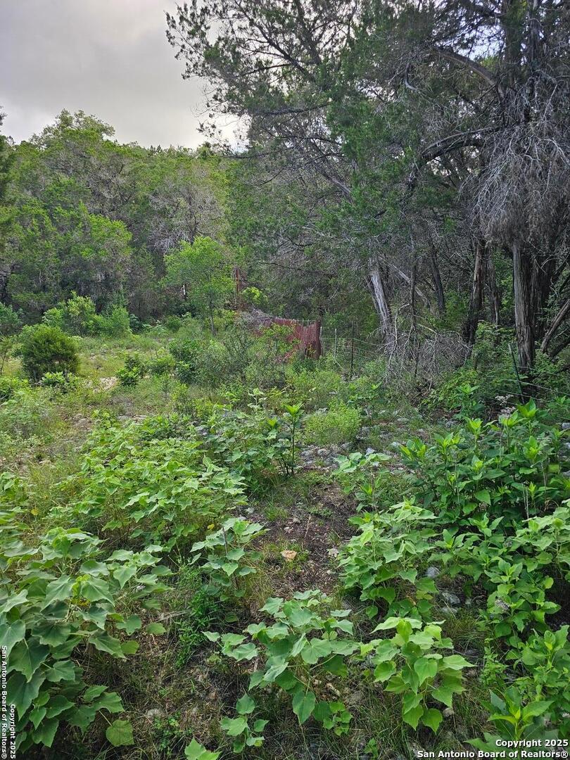 0 Happy Hollow New Braunfels TX 78132