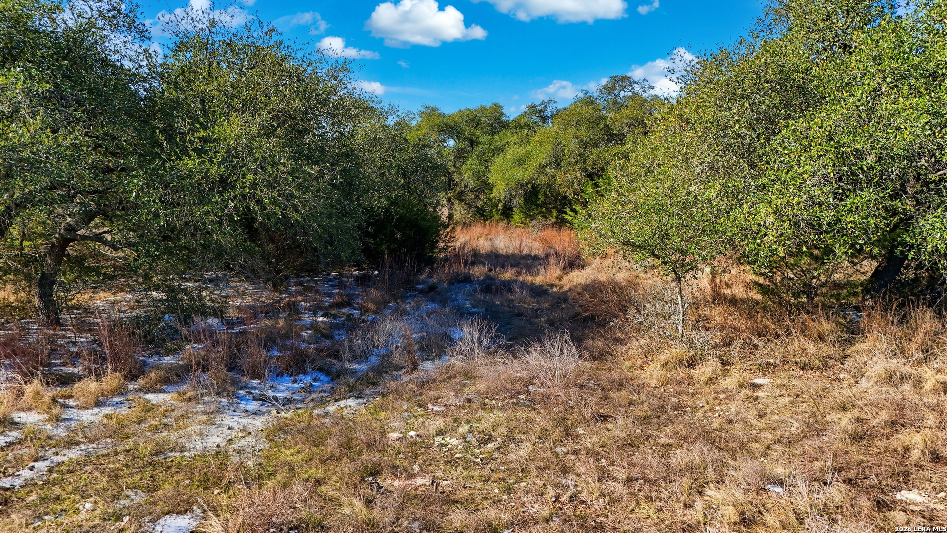246 Dodder Spring Branch TX 78070