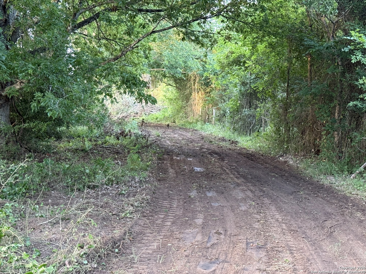 500 Cr 388 Gonzales TX 78629