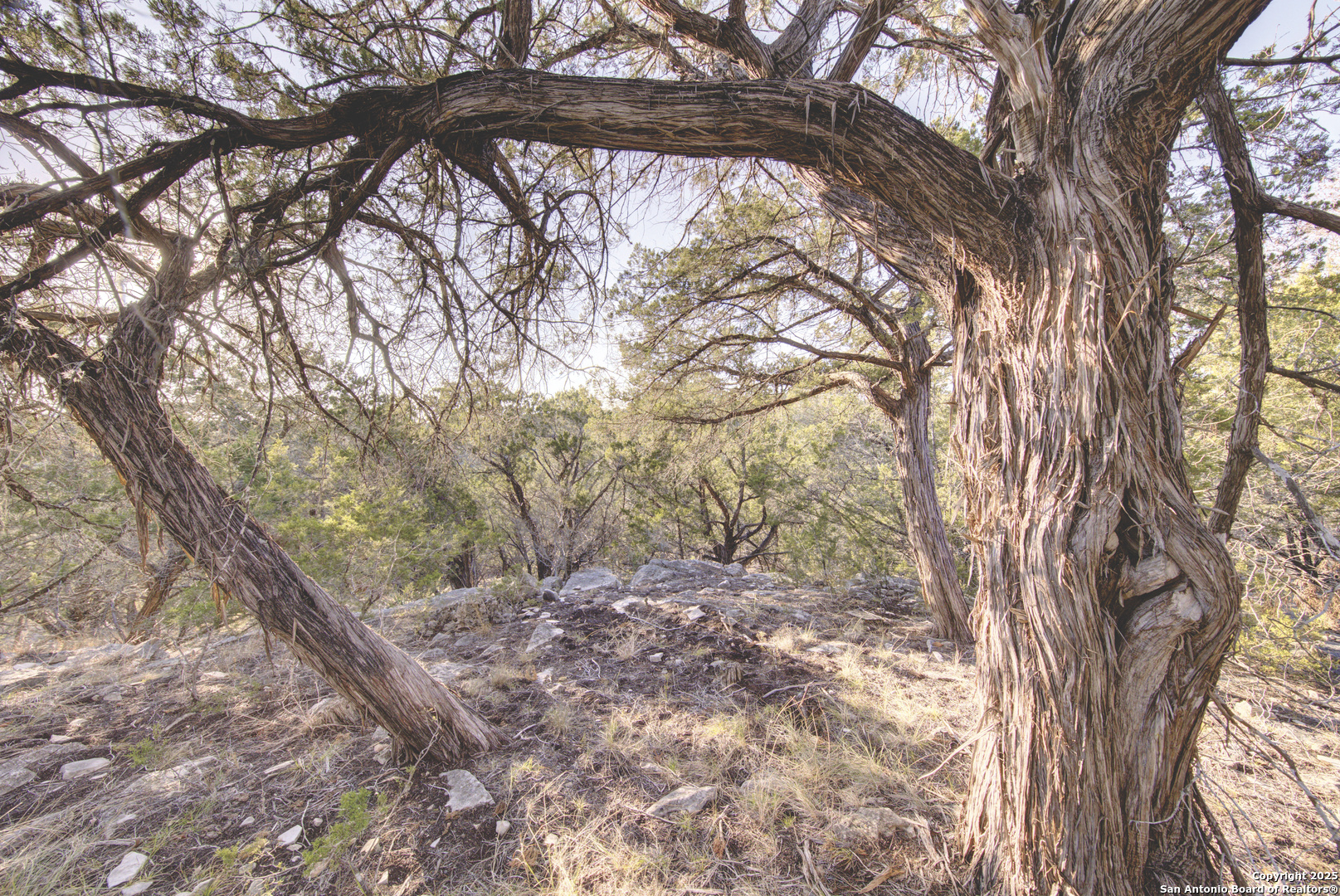0 River Bend Road Hunt TX 78024