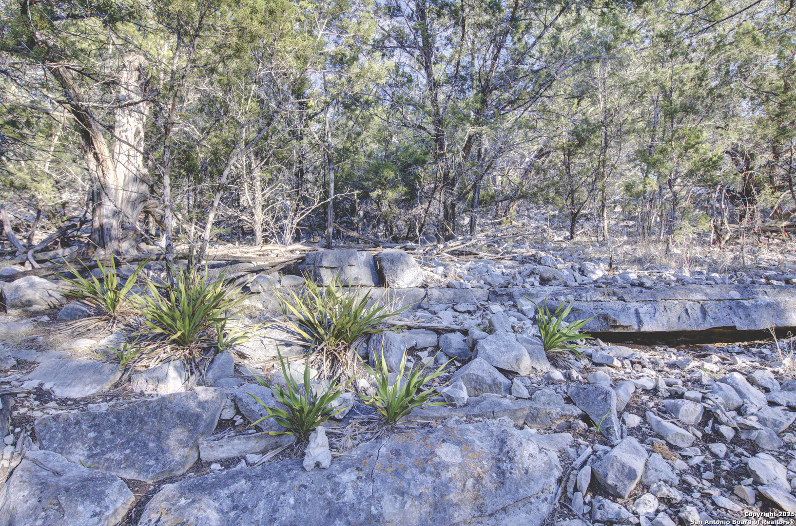 0 River Bend Road Hunt TX 78024