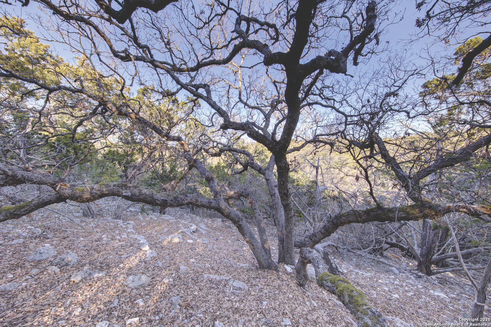 0 River Bend Road Hunt TX 78024