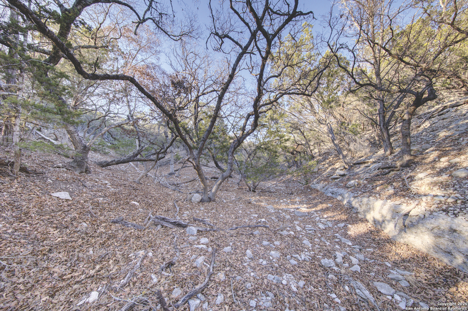 0 River Bend Road Hunt TX 78024
