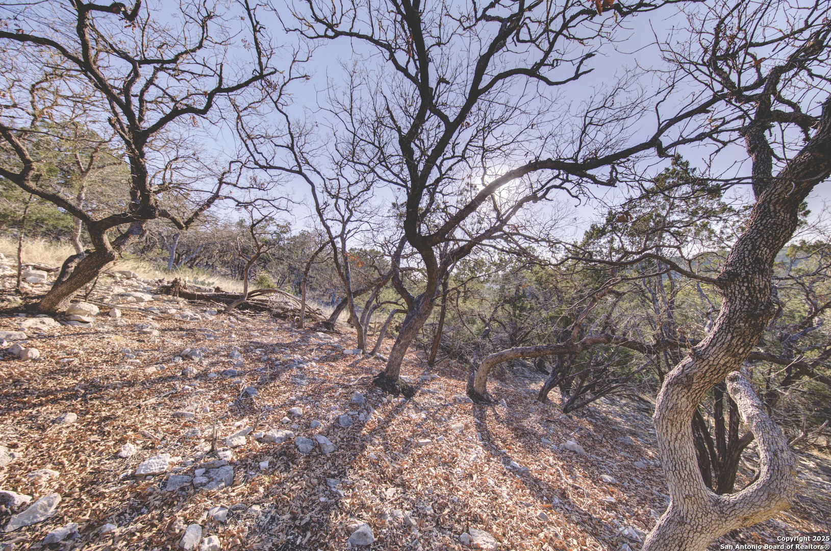0 River Bend Road Hunt TX 78024