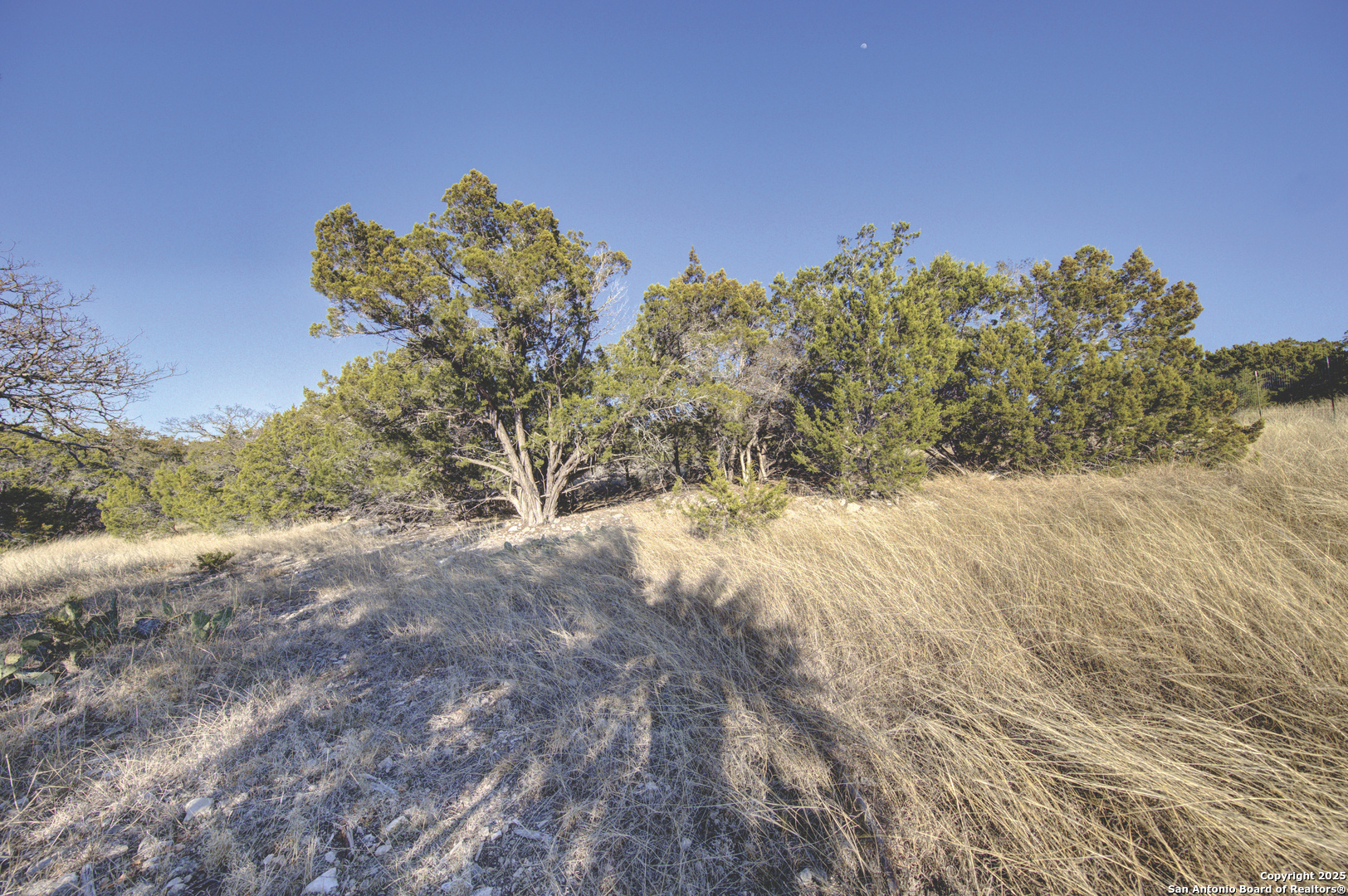 0 River Bend Road Hunt TX 78024