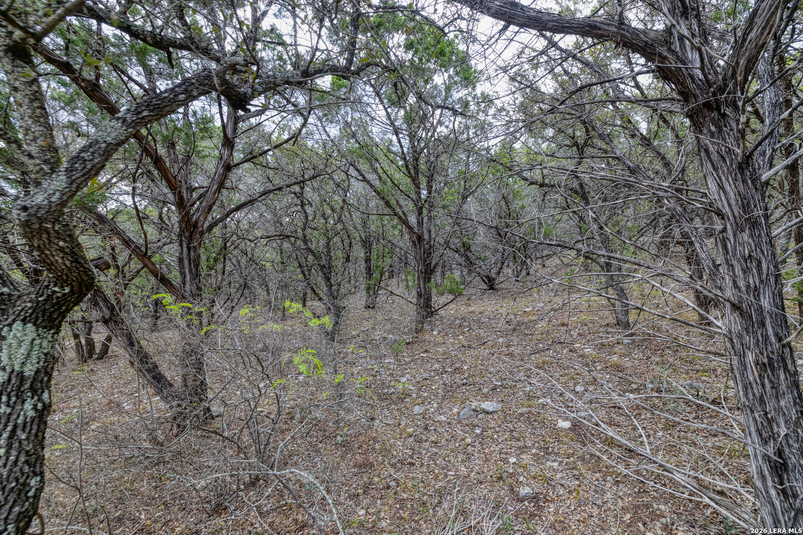 430 Frio Canyon Concan TX 78838