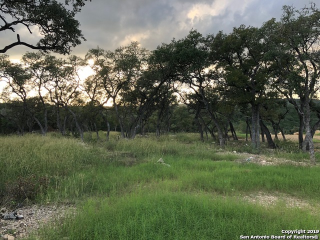23531 Osceola Bluff San Antonio TX 78261