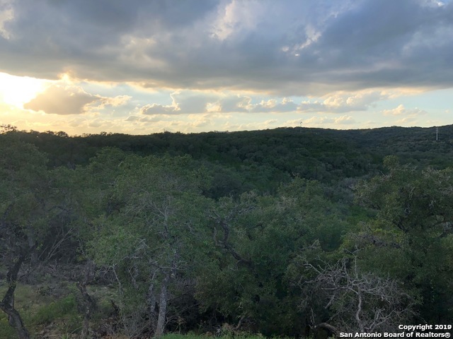 23531 Osceola Bluff San Antonio TX 78261
