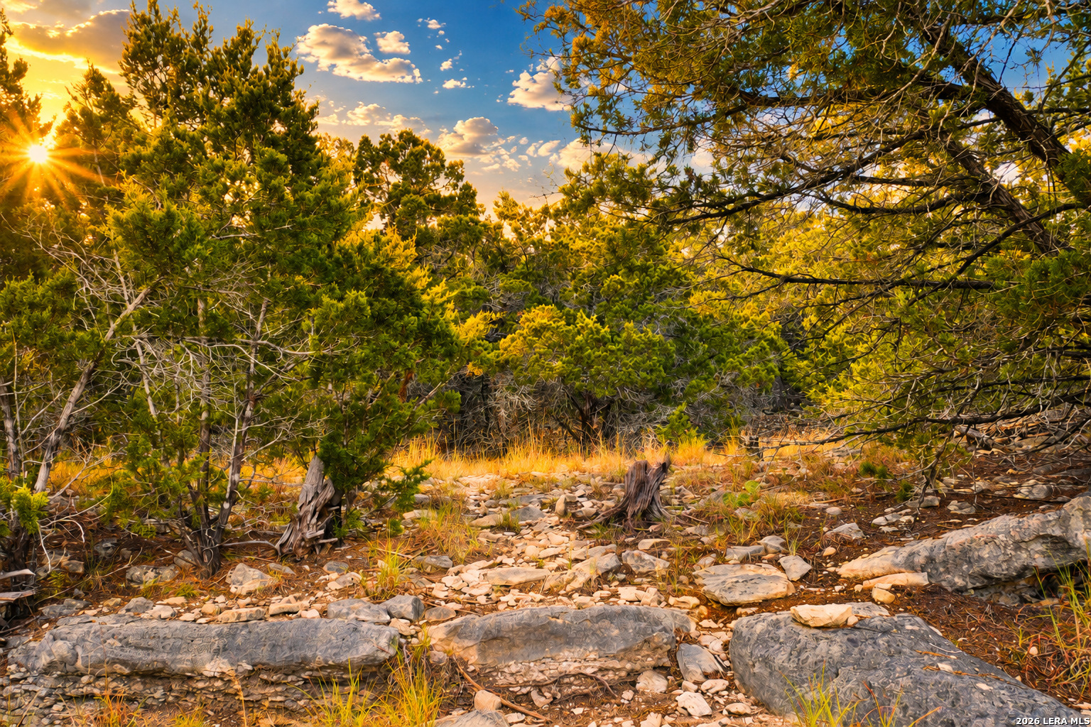 1490 Desiree Street Canyon Lake TX 78133