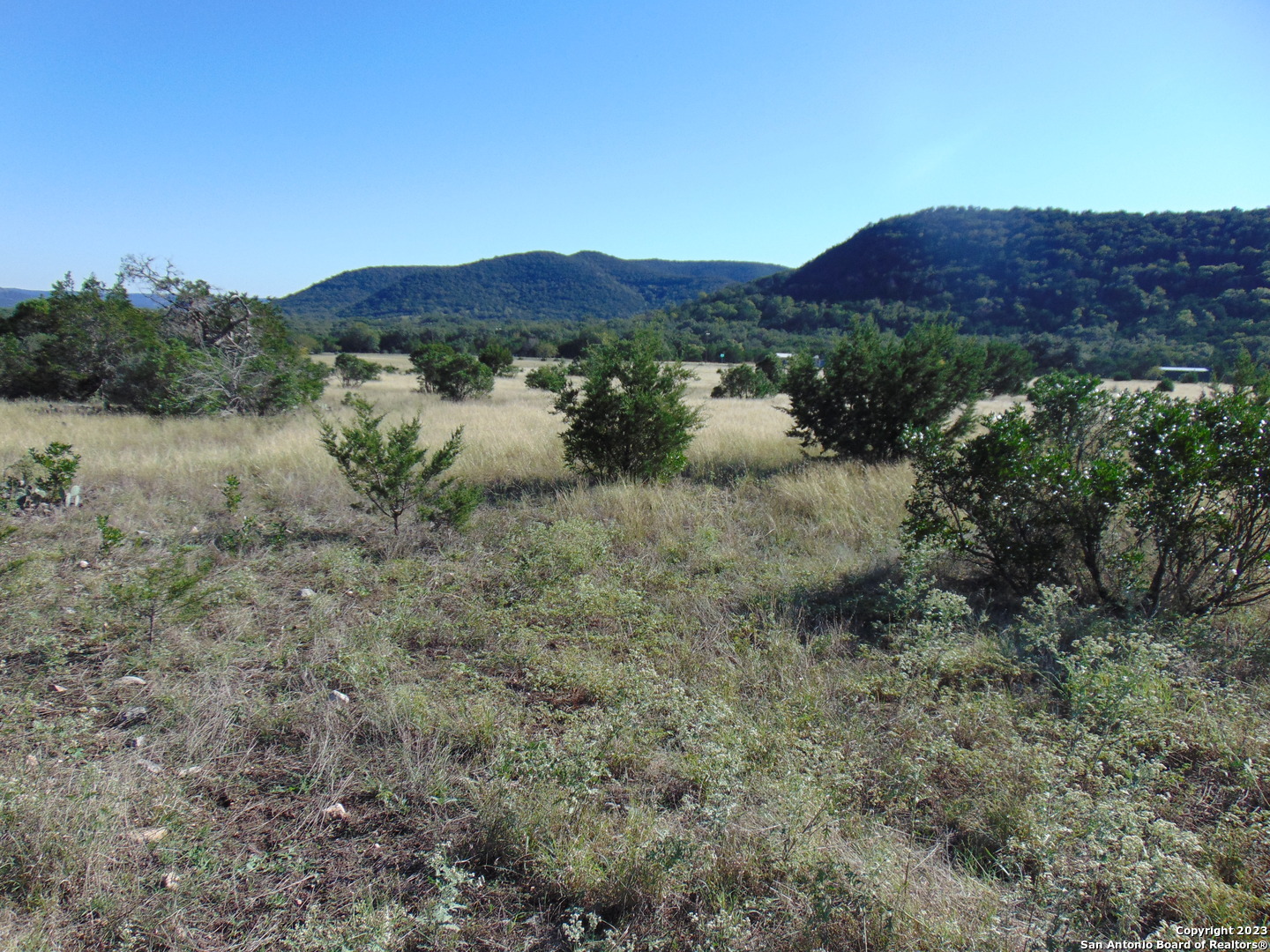 0 John Buchanan Leakey TX 78873