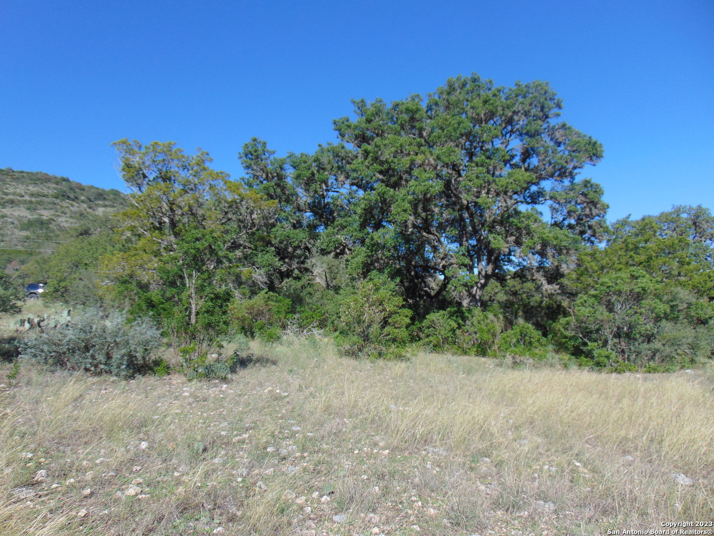 0 John Buchanan Leakey TX 78873
