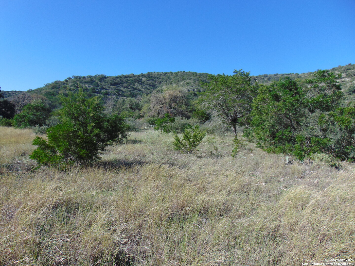 0 John Buchanan Leakey TX 78873
